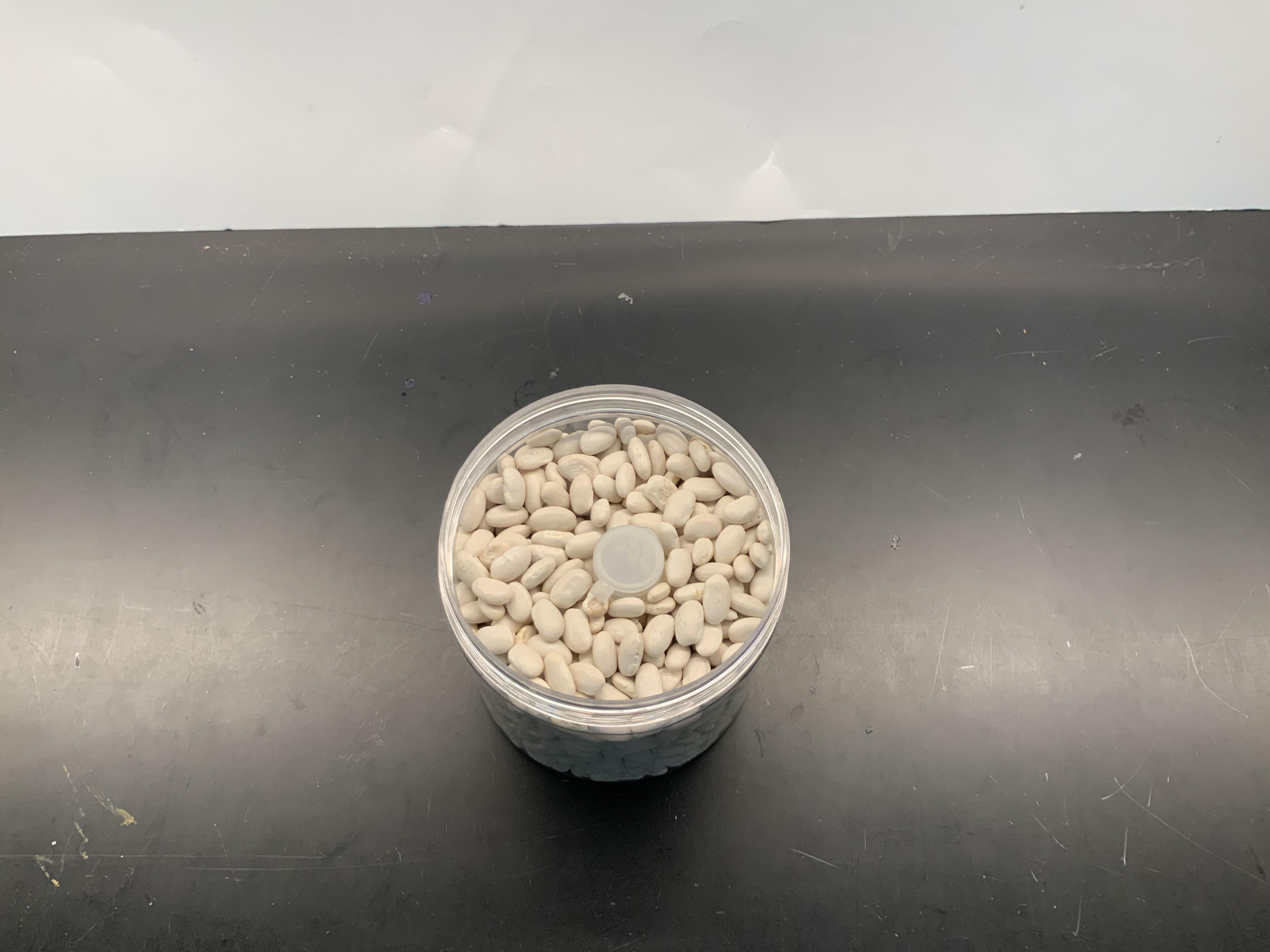 Hidden Bean Safe!