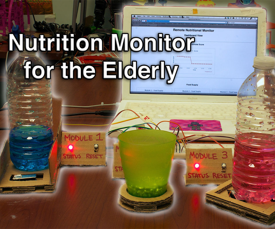 Nutrition Monitor for the Elderly
