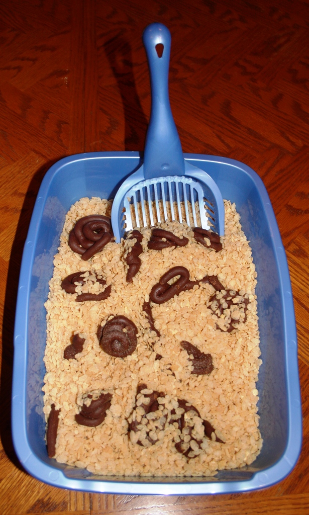 Cat Poop Fudge
