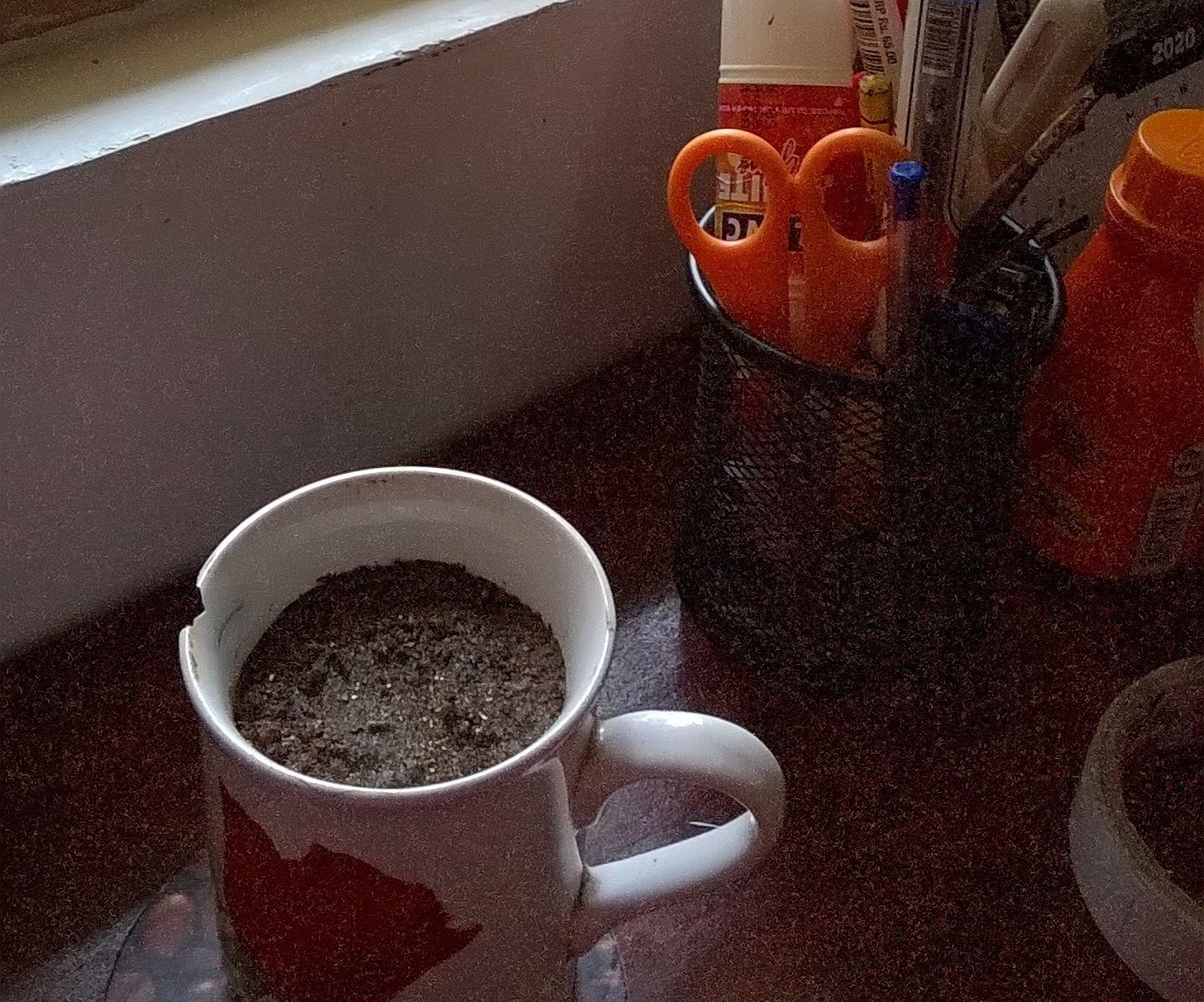 Plants Cup