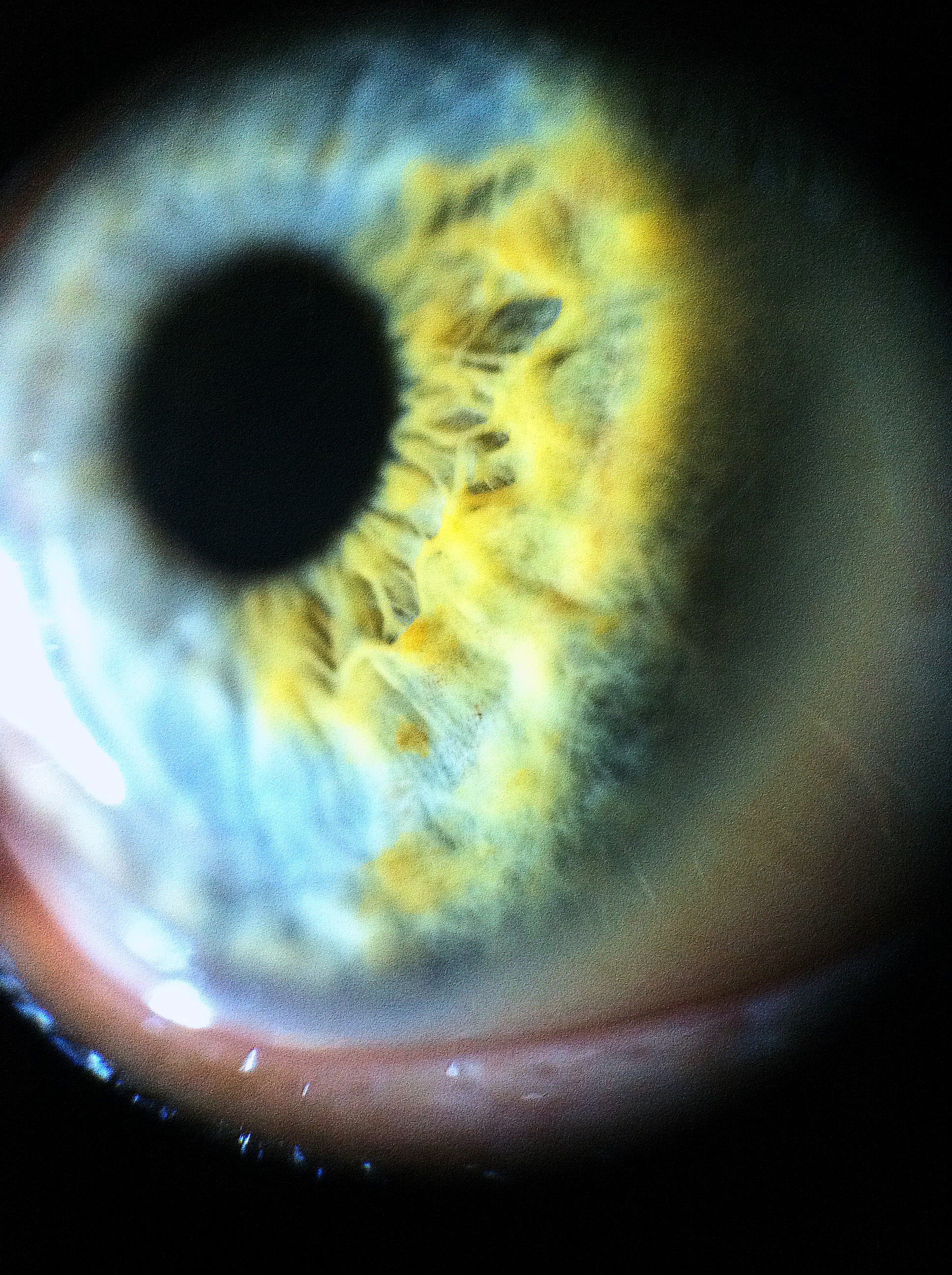 How to make a very effective and cheap micro/macro lens for an iPhone or any smartphone!