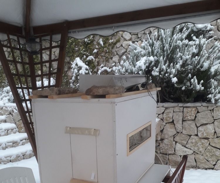 DomoticCathouse