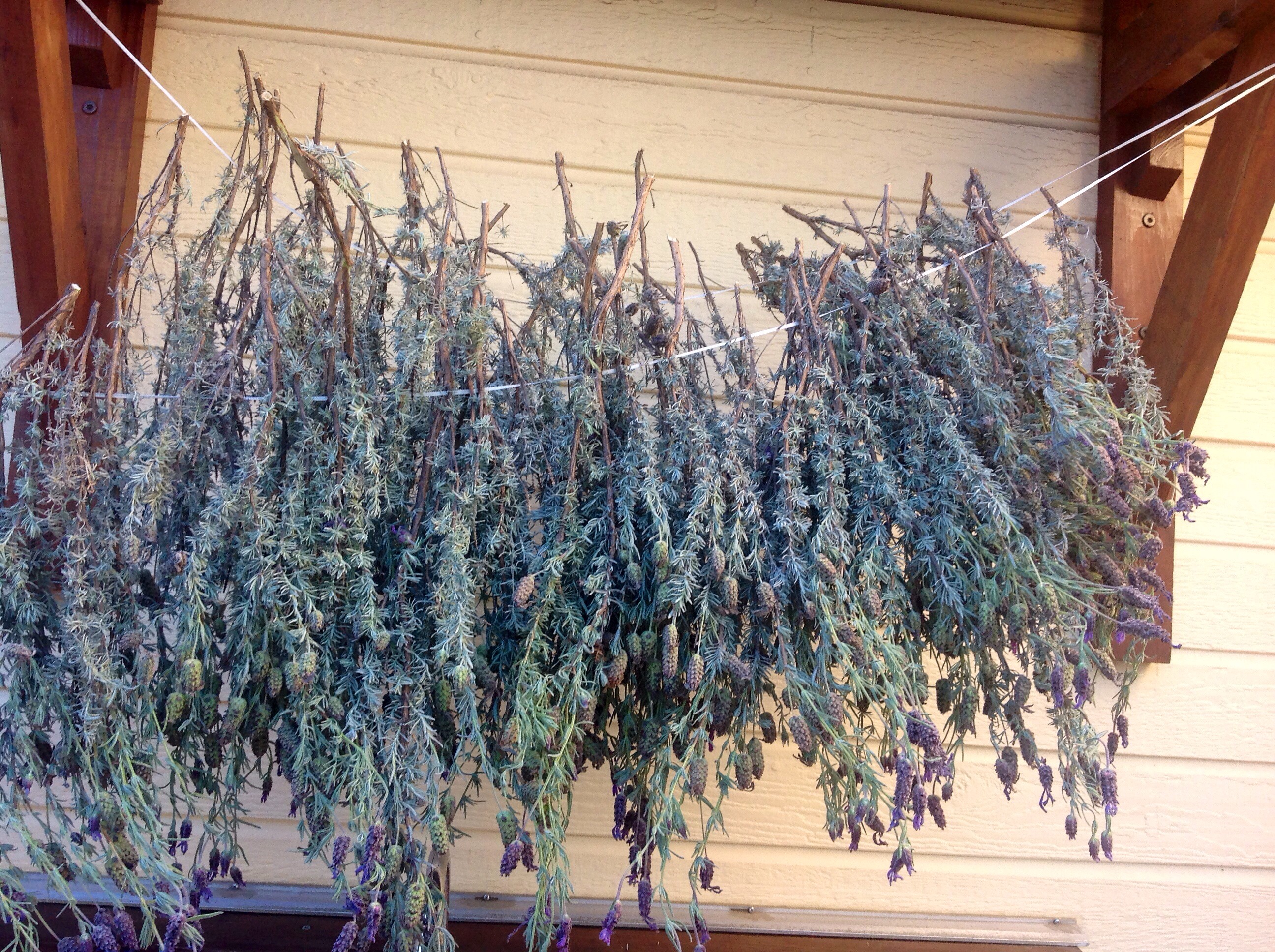 In/Outdoor Lavender Aroma Sent