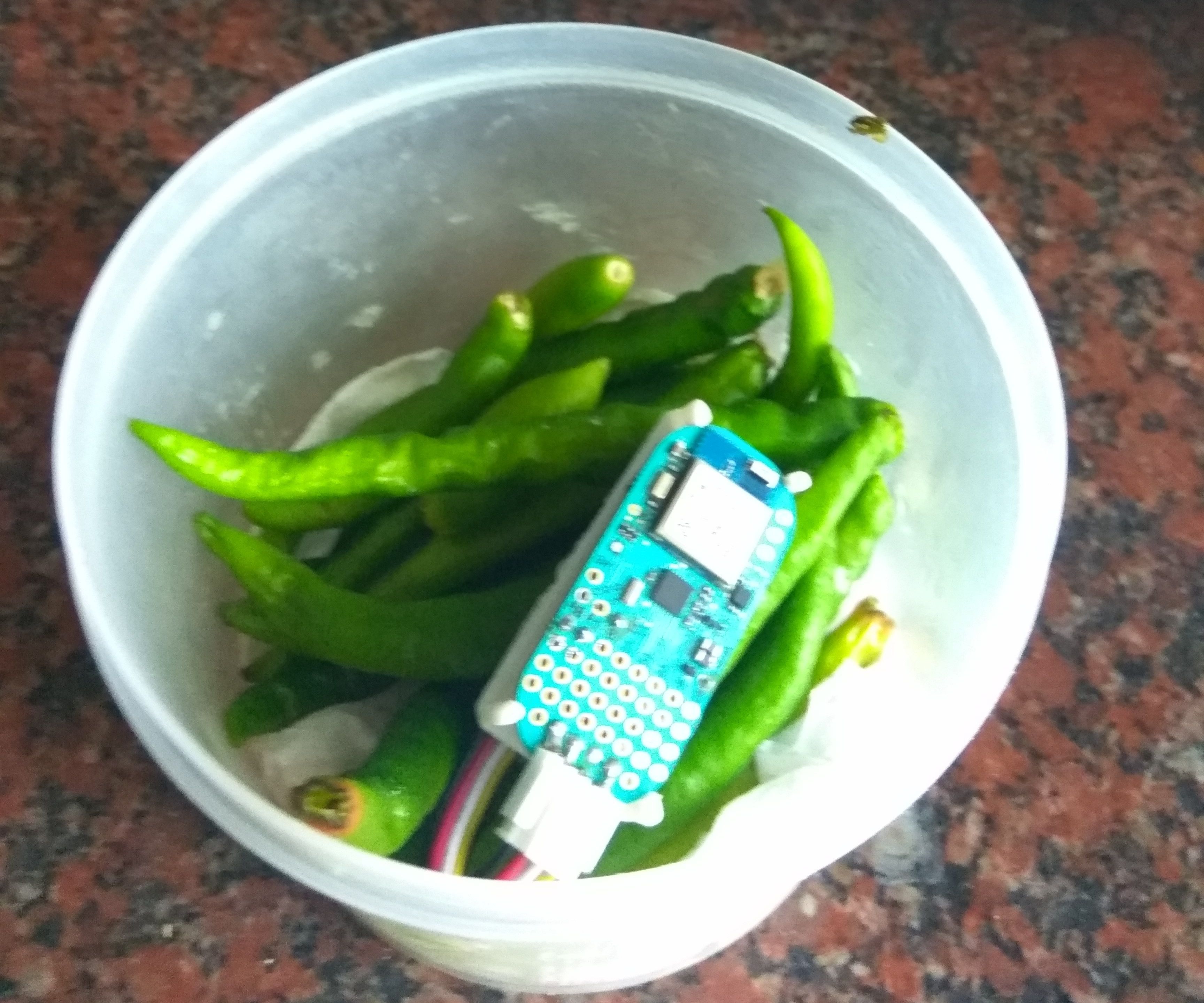 FOOD BEACON (FB)