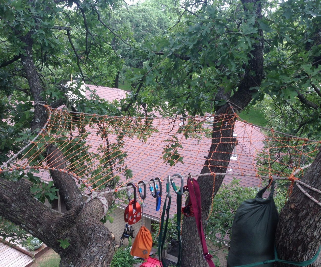 tree net