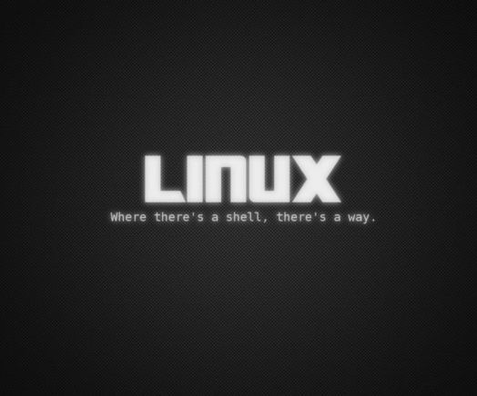 Basic Use of Linux Terminal