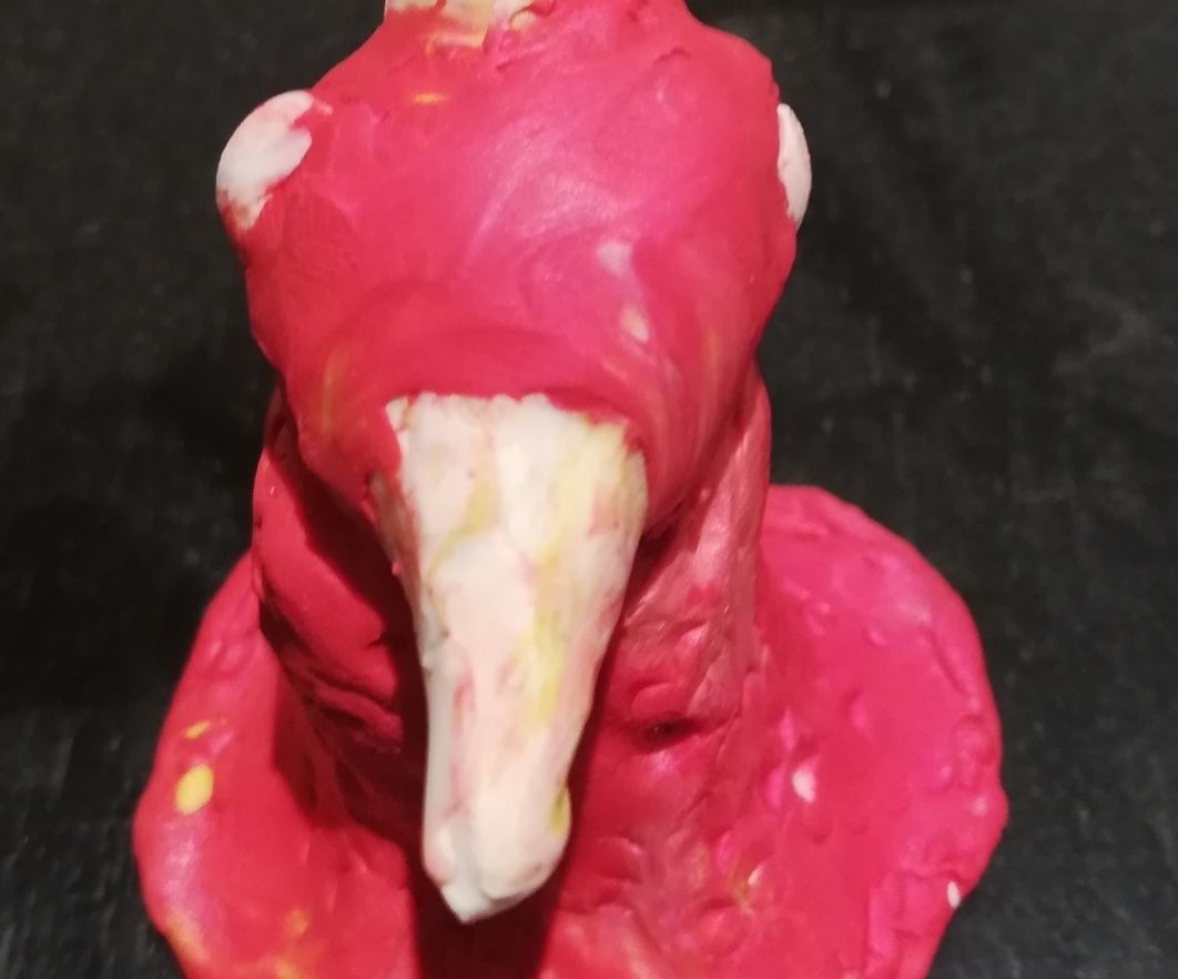 Wingless Bird 