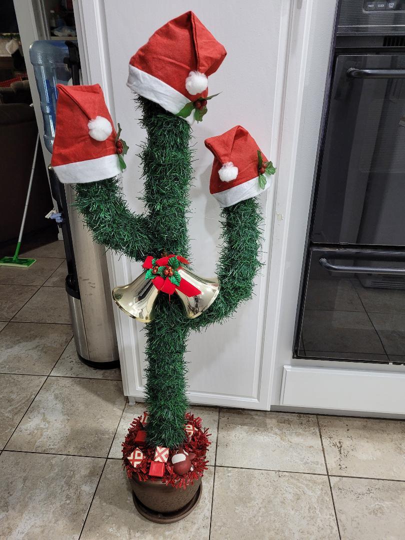 Christmas Cactus