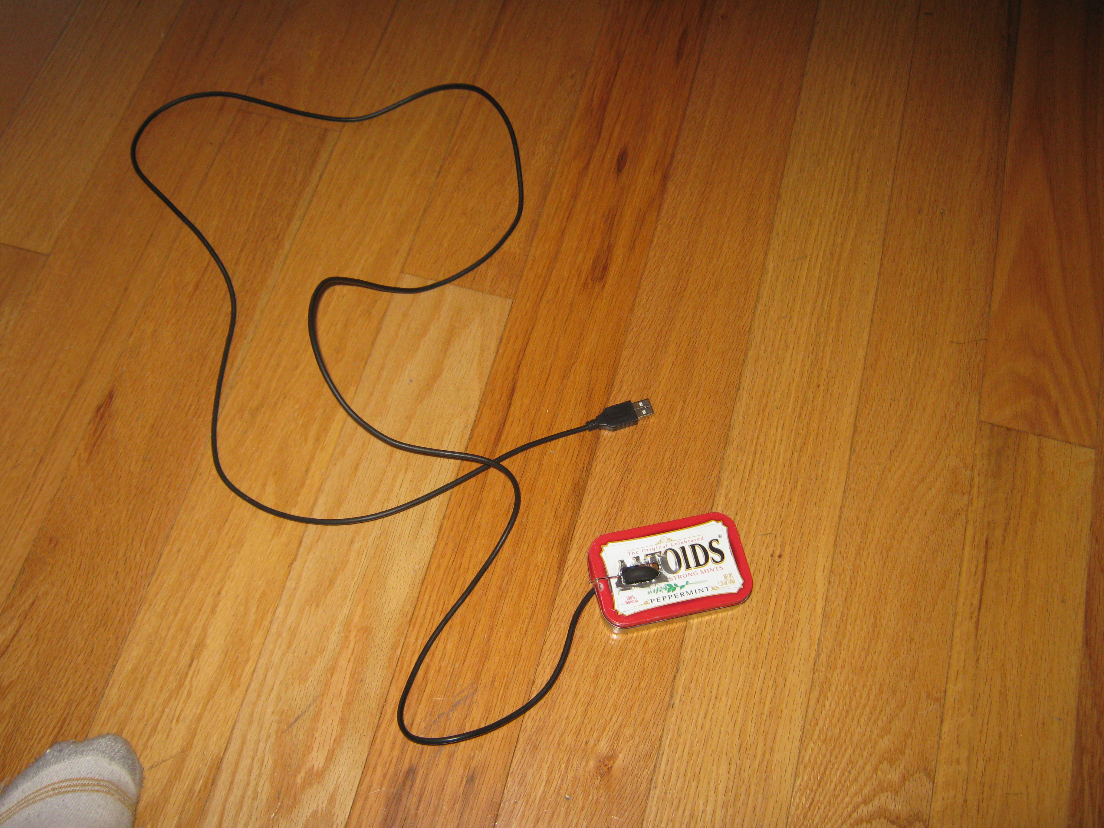 mouse