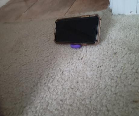 Dog Phone Stand!!