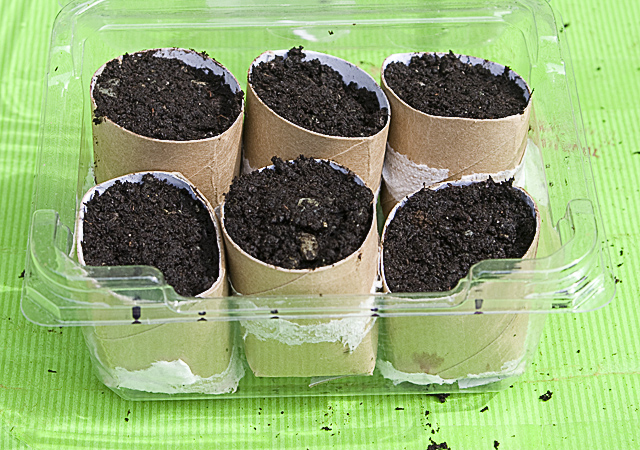 Mini Seedling Greenhouse