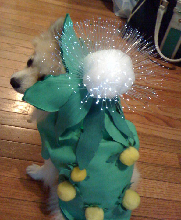 Light-Up Dandelion Doggy Costume