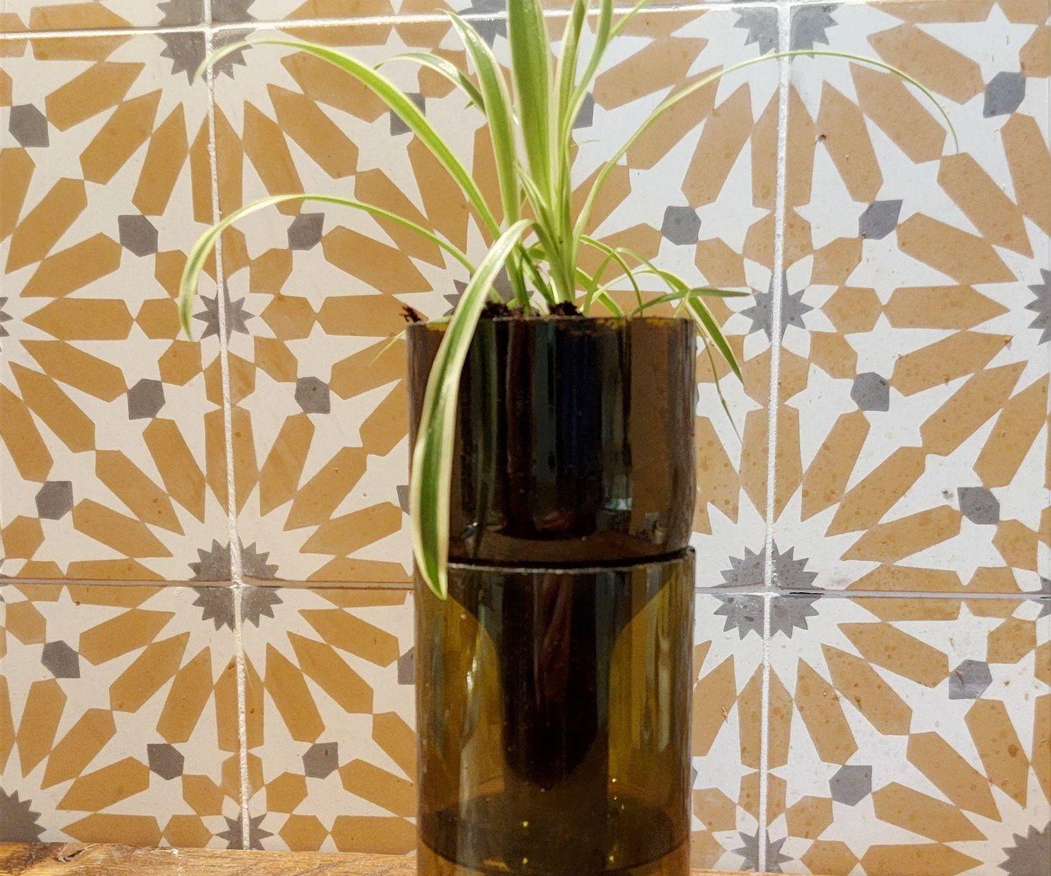 Wine Drinking Planter