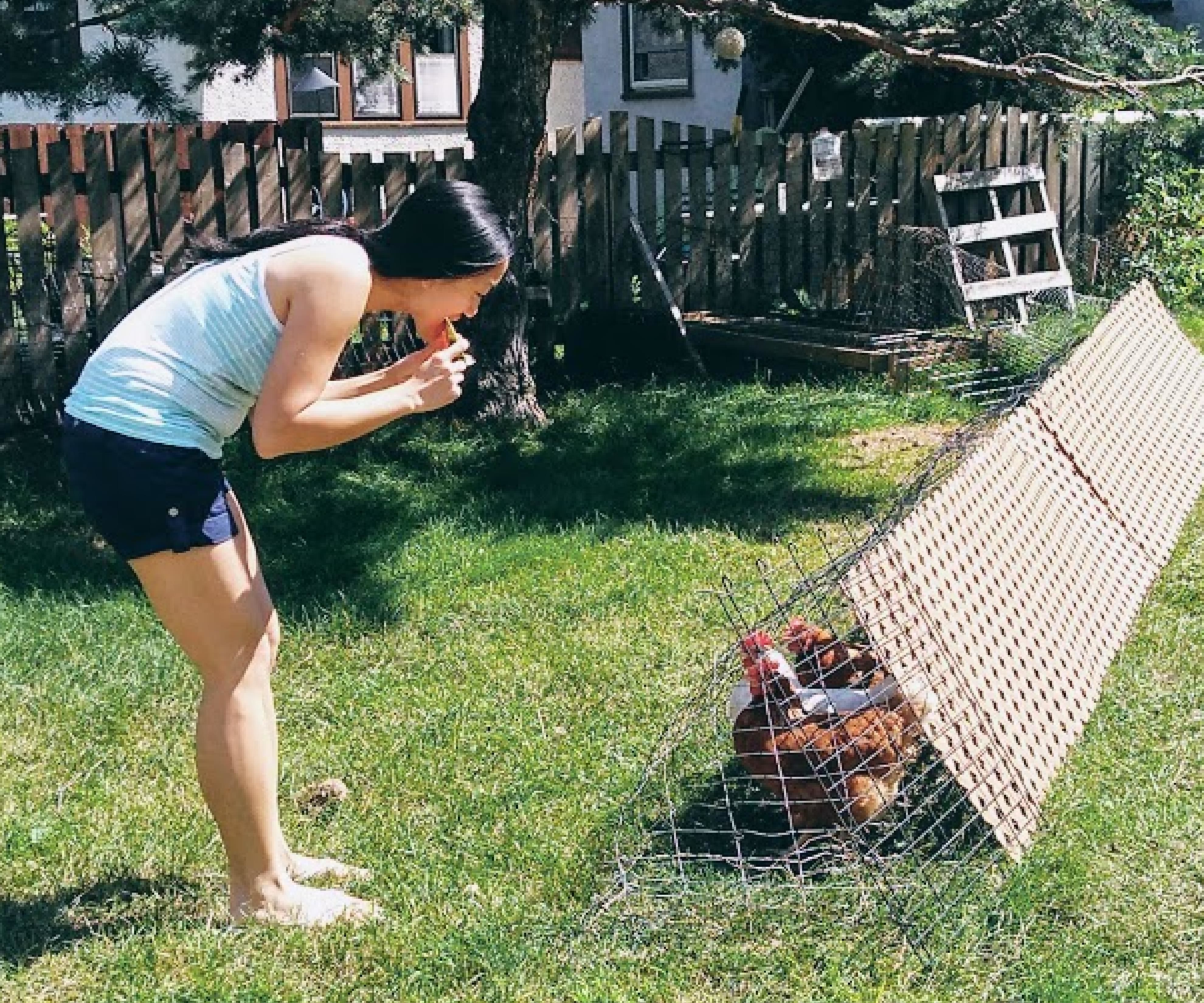 Rotating Run: Chicken Coop Extension