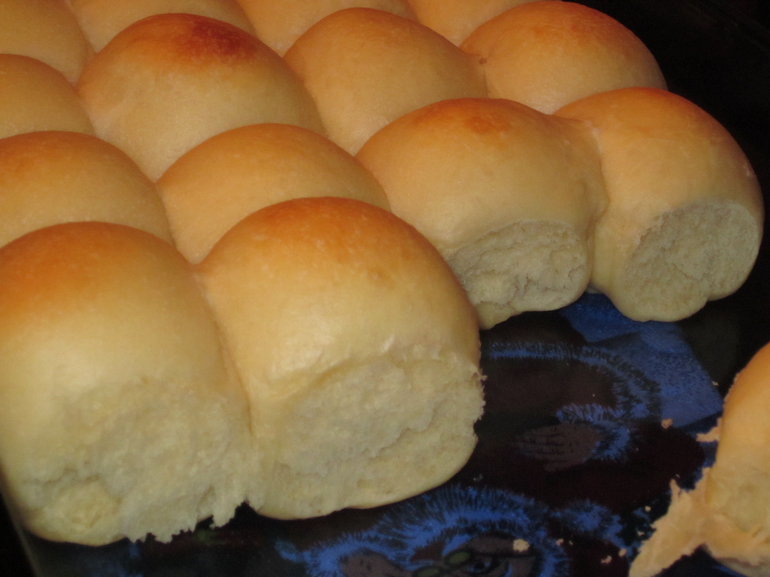 Easy Yeast Rolls