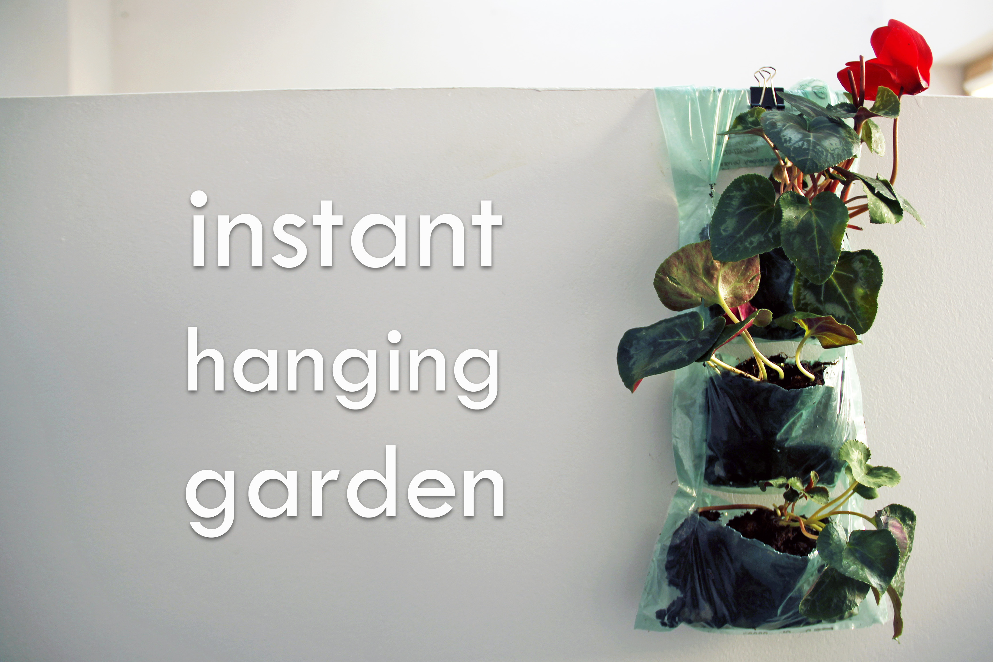 Instant Hanging Garden