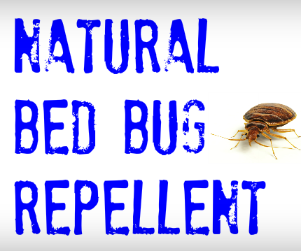 Natural Bed Bug Repellent