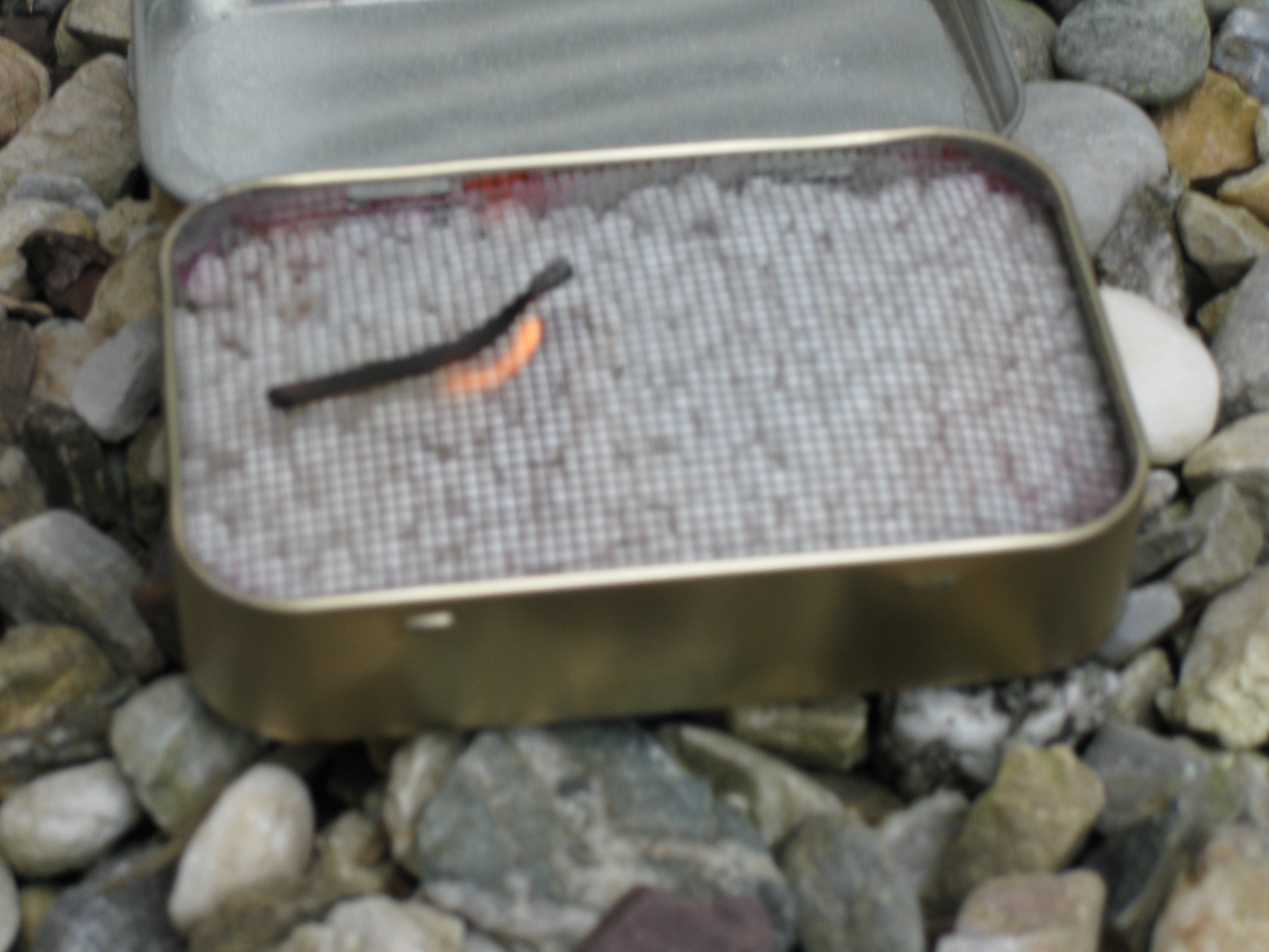 Altoids Tin Alcohol Stove