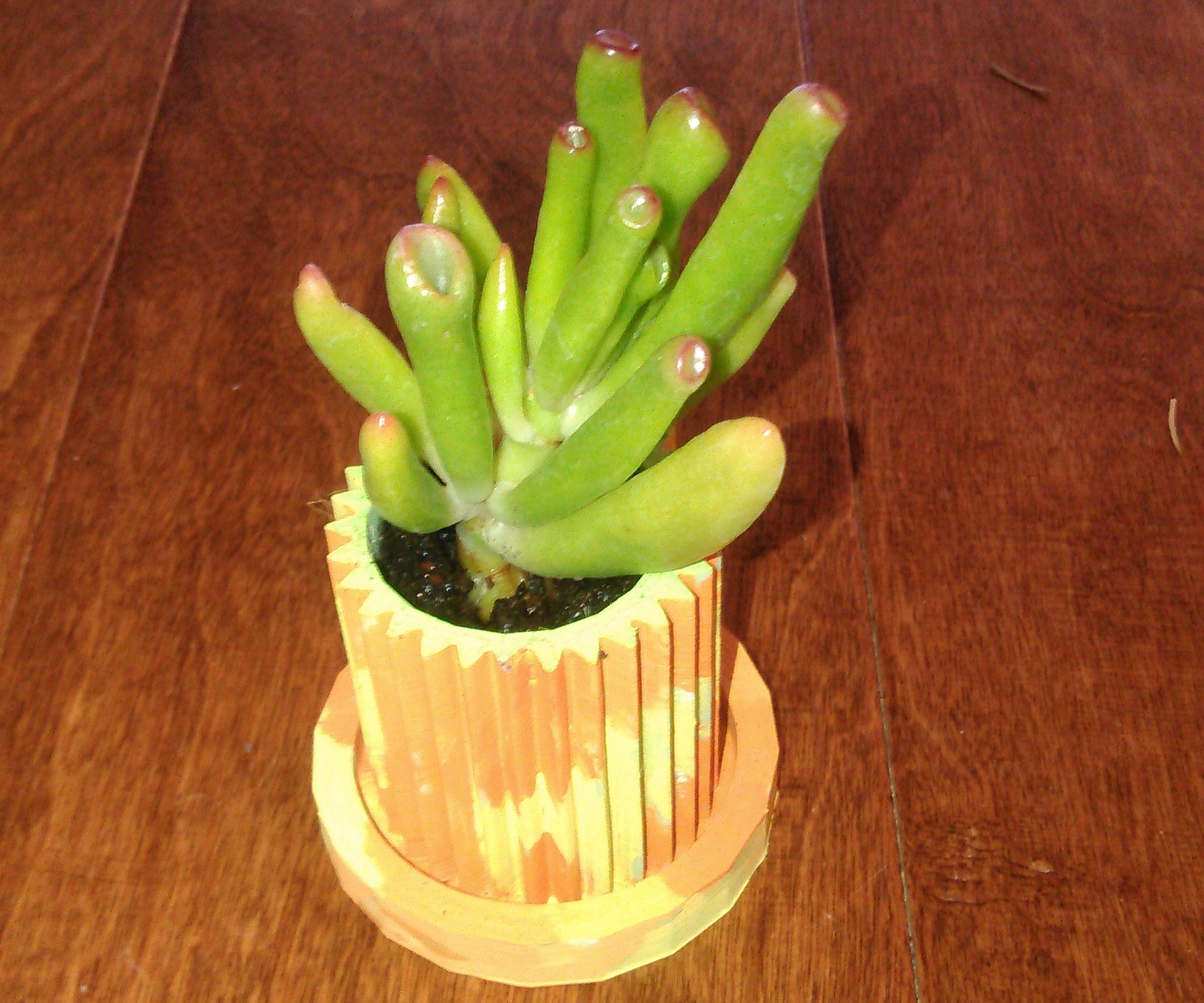 3D Printed Succulent Pot & Coaster