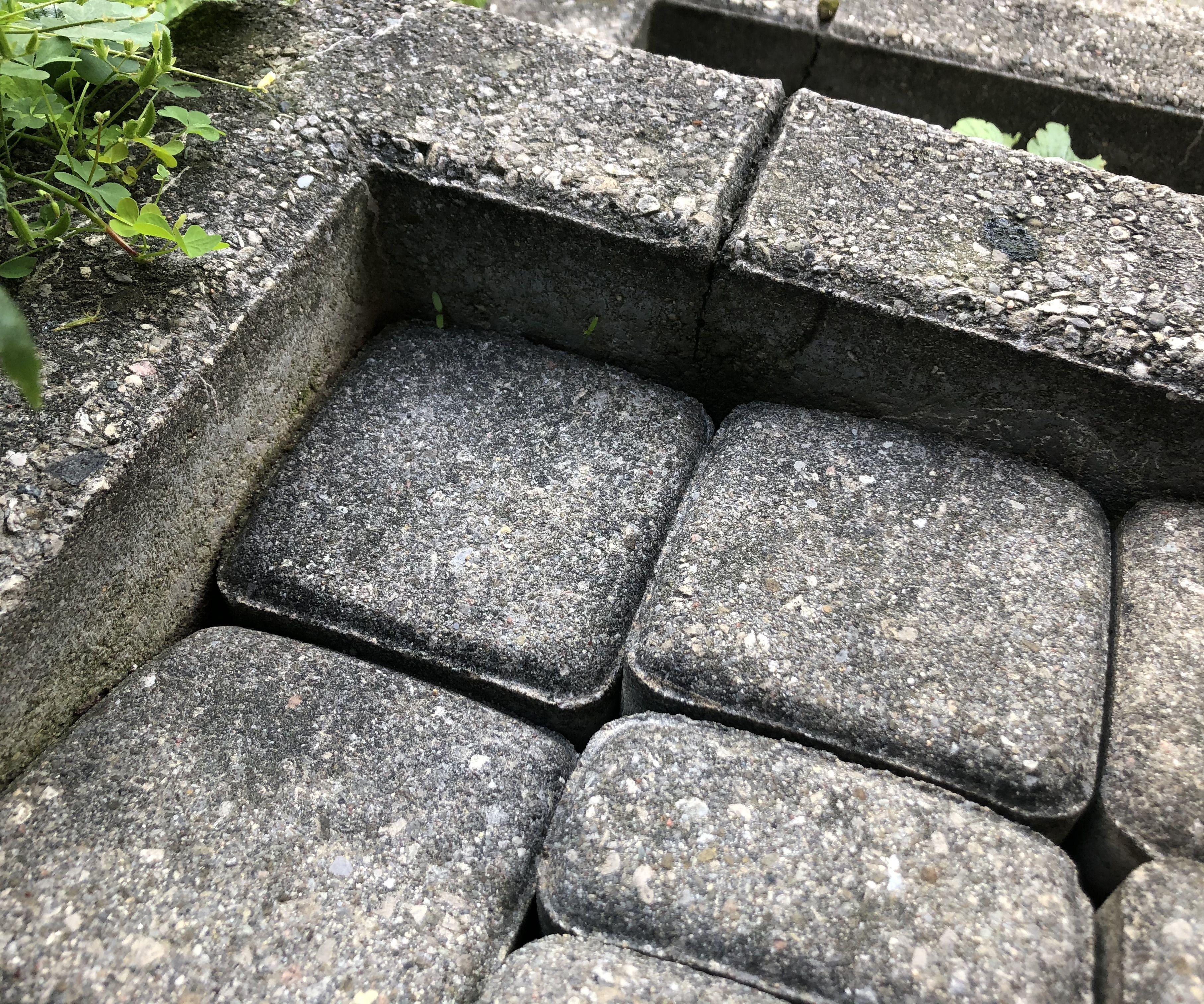 Repair Sunken Pavers
