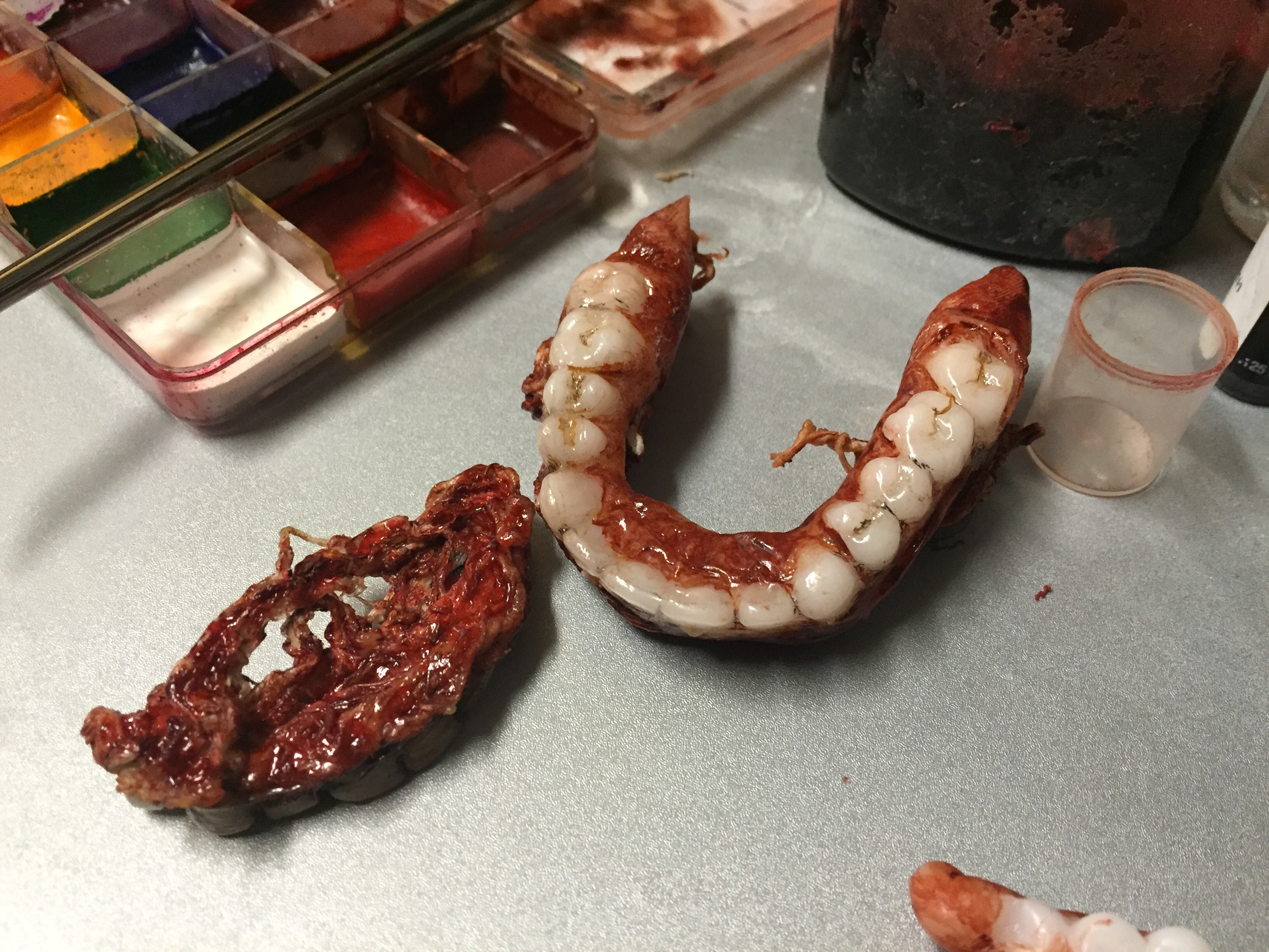 Gory Jaw and Teeth