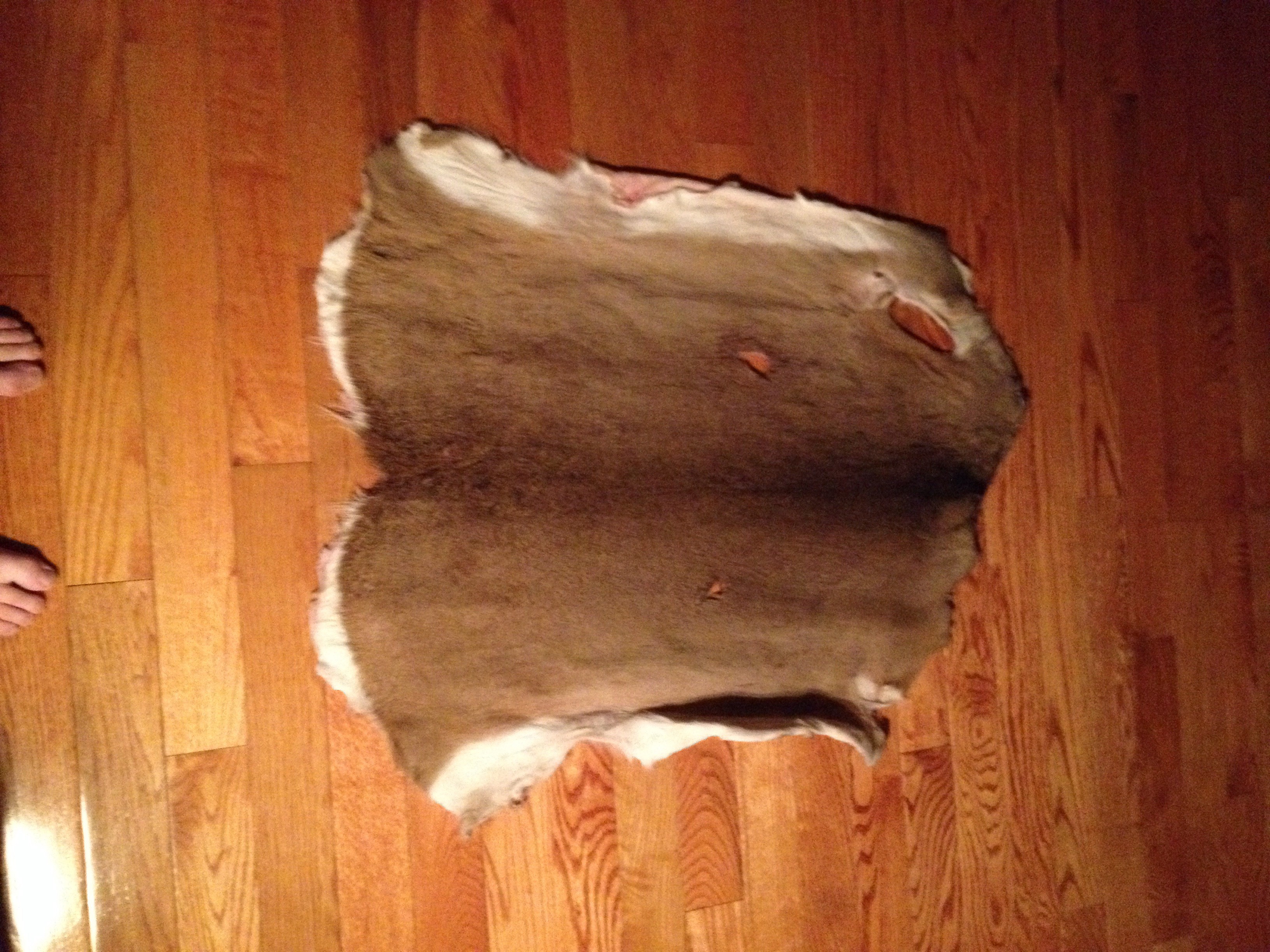 Deer Skin Rug