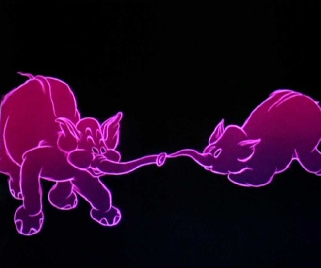 Hippity Hoppity (Light and Projection Show)