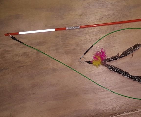 Indestructible Cat Wand (for Cat Play)
