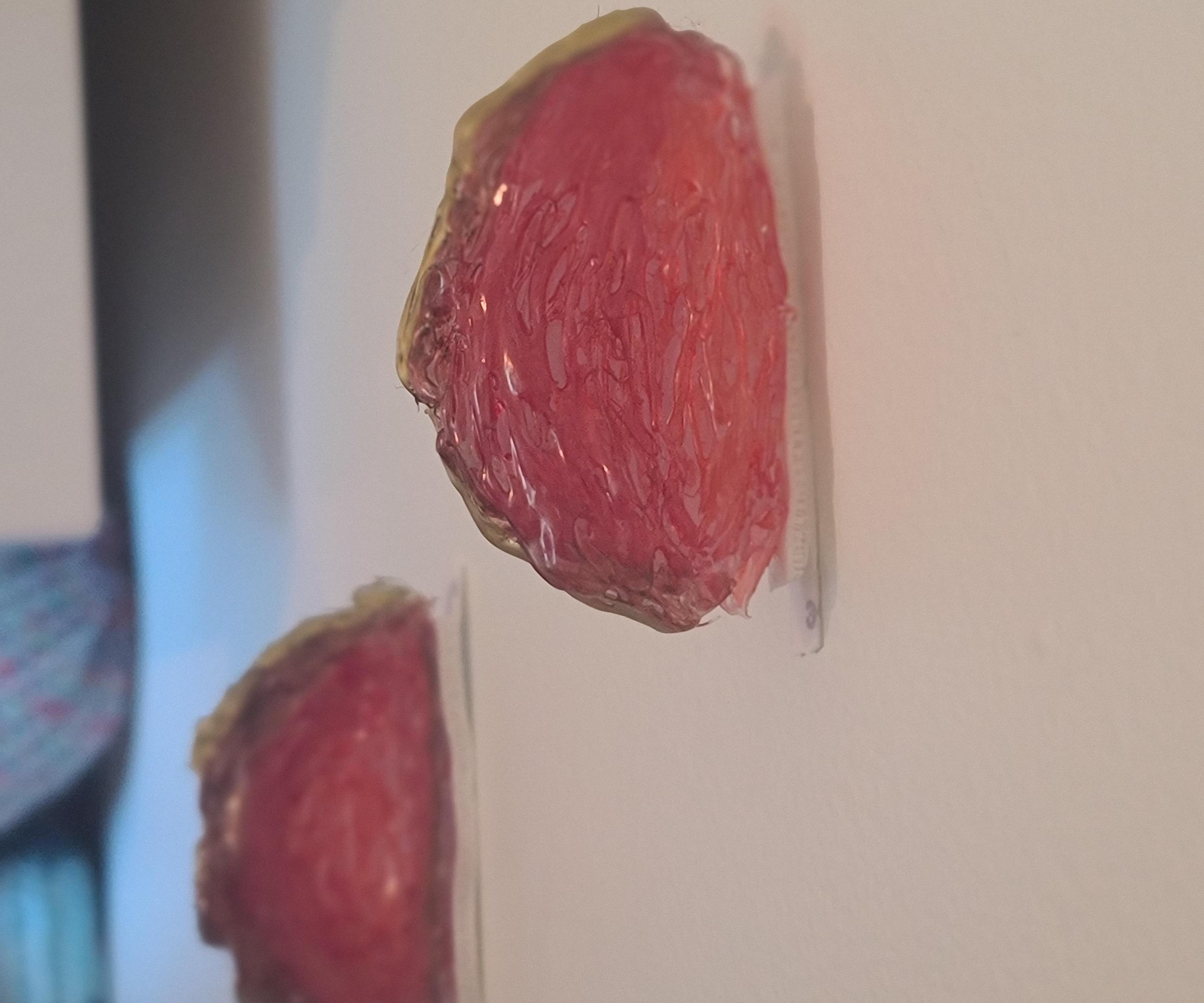 Mushroom Shelf