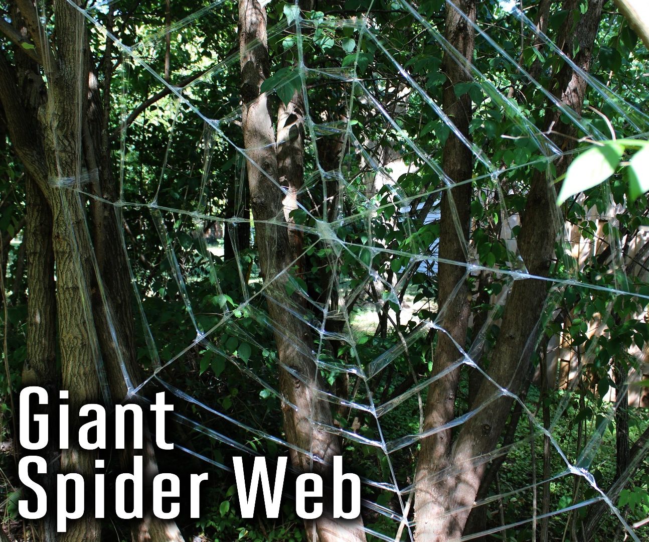 Giant Spider Web