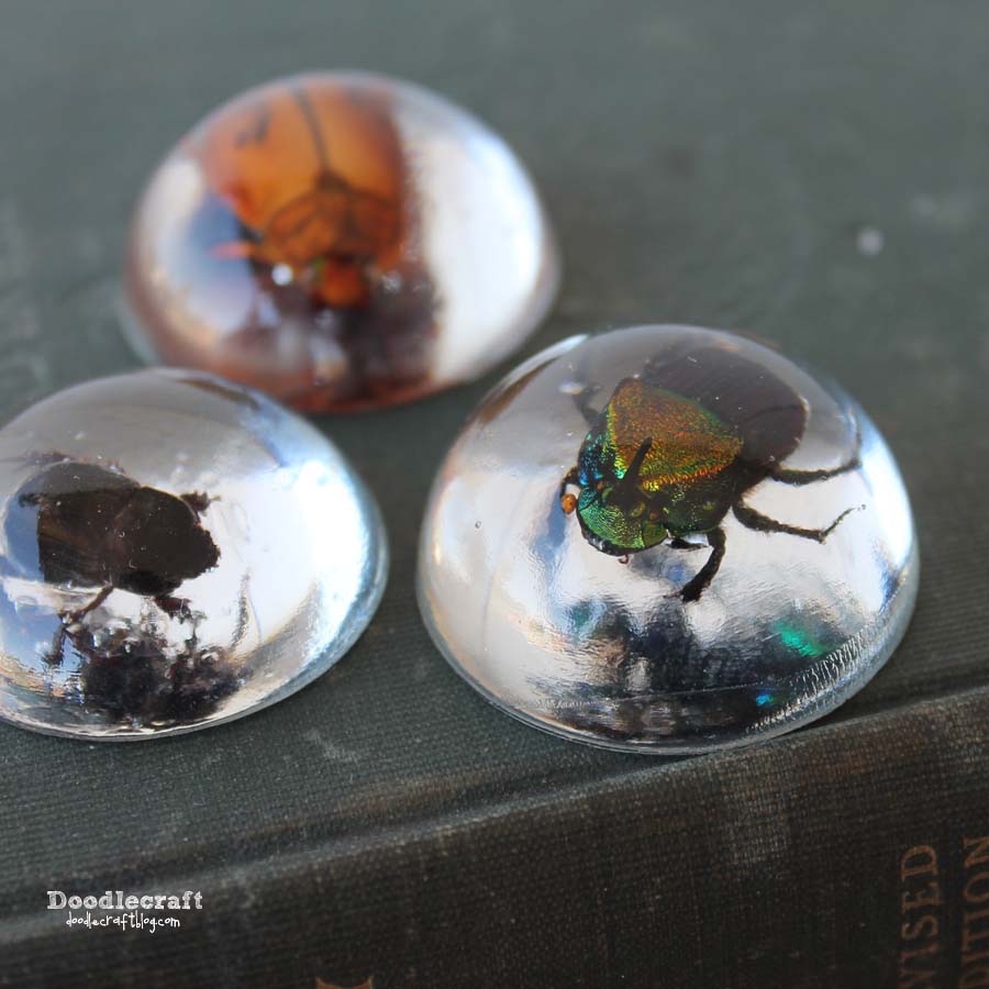 resin casting clear paper weight bugs sugar beetles dung irridescent jewelry necklaces halloween fun crafts activities (1).JPG