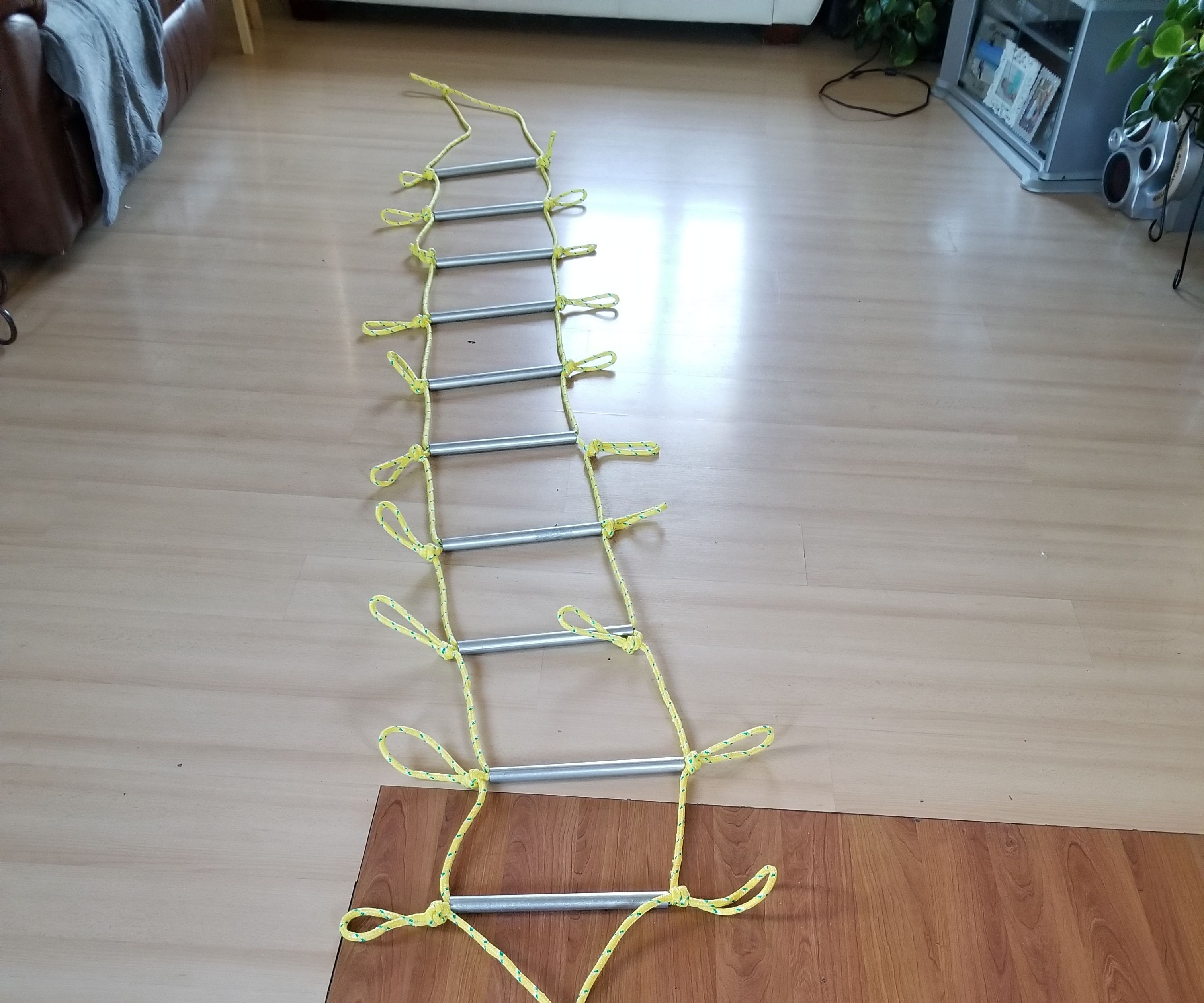 $26 Fire Ladder