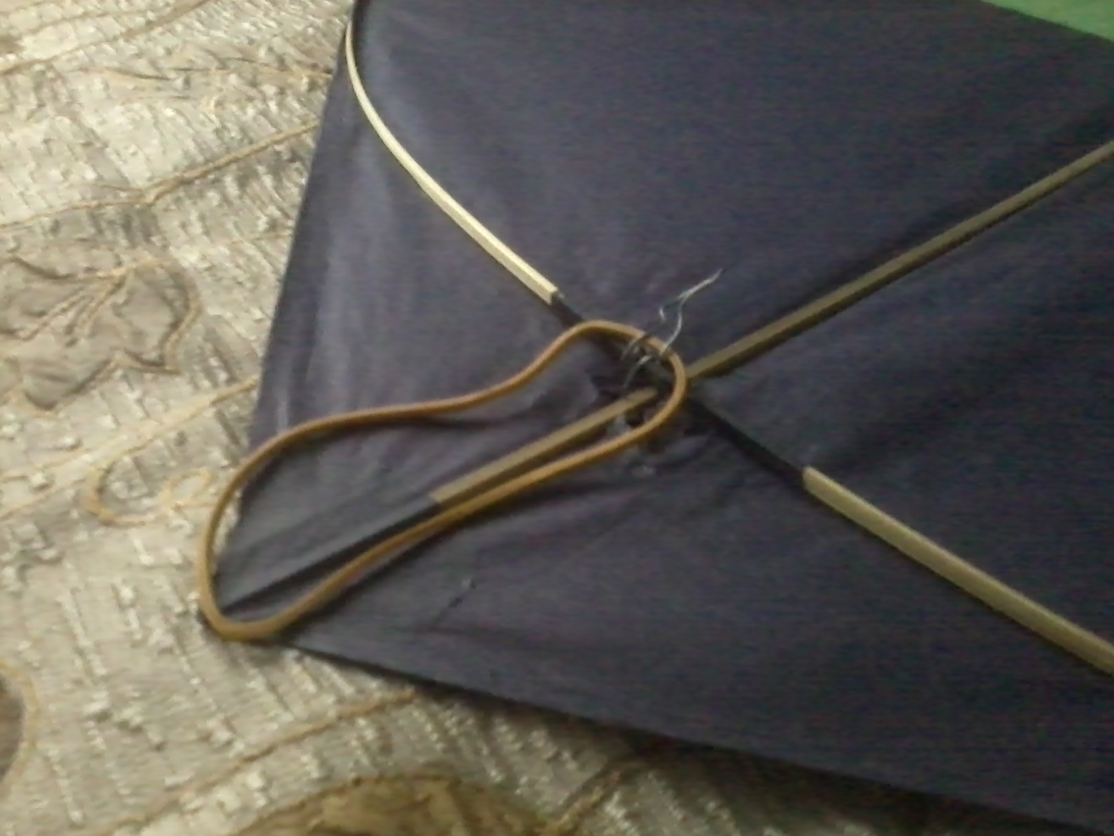 Easy Kite Launcher.