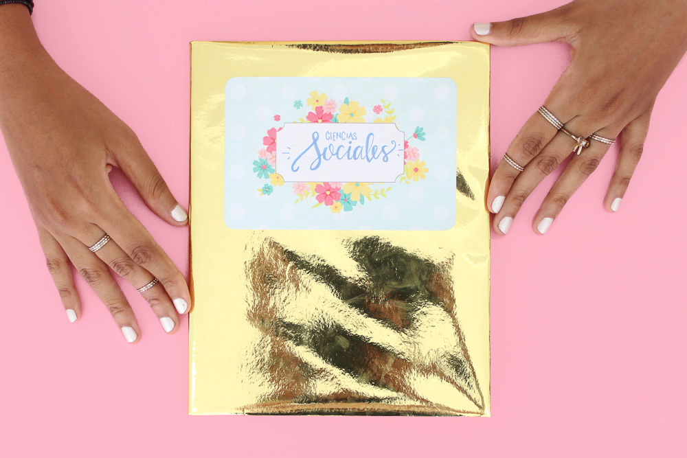 diy-tips-forrar-mascotas-libretas-escuela-clases-diferentes-ideas-inspiracion-colegio-como-hacer-tutorial-manualidad-santo-domingo-14.jpg