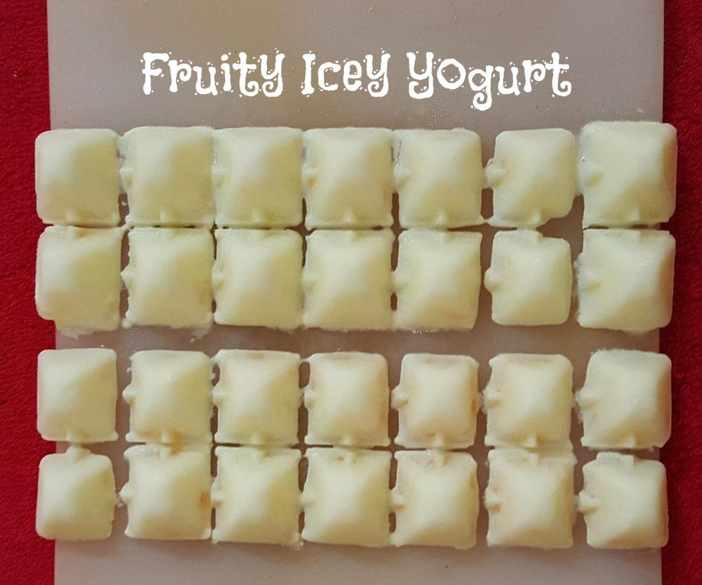 Fruity Icey Probiotic Yogurt