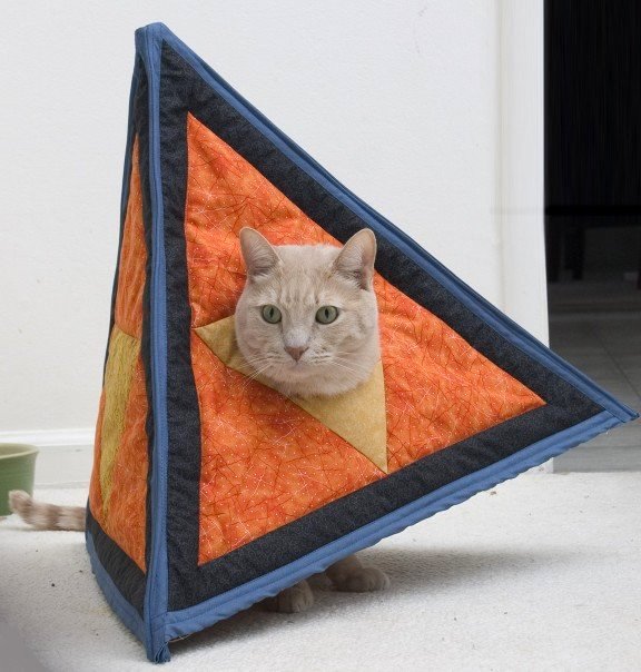 Catahedron Costume