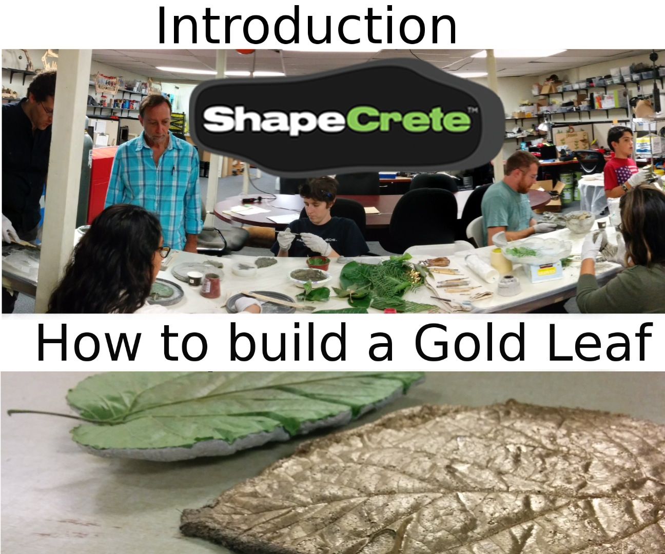 Introduction to ShapeCrete (making a Basic Leaf Print)