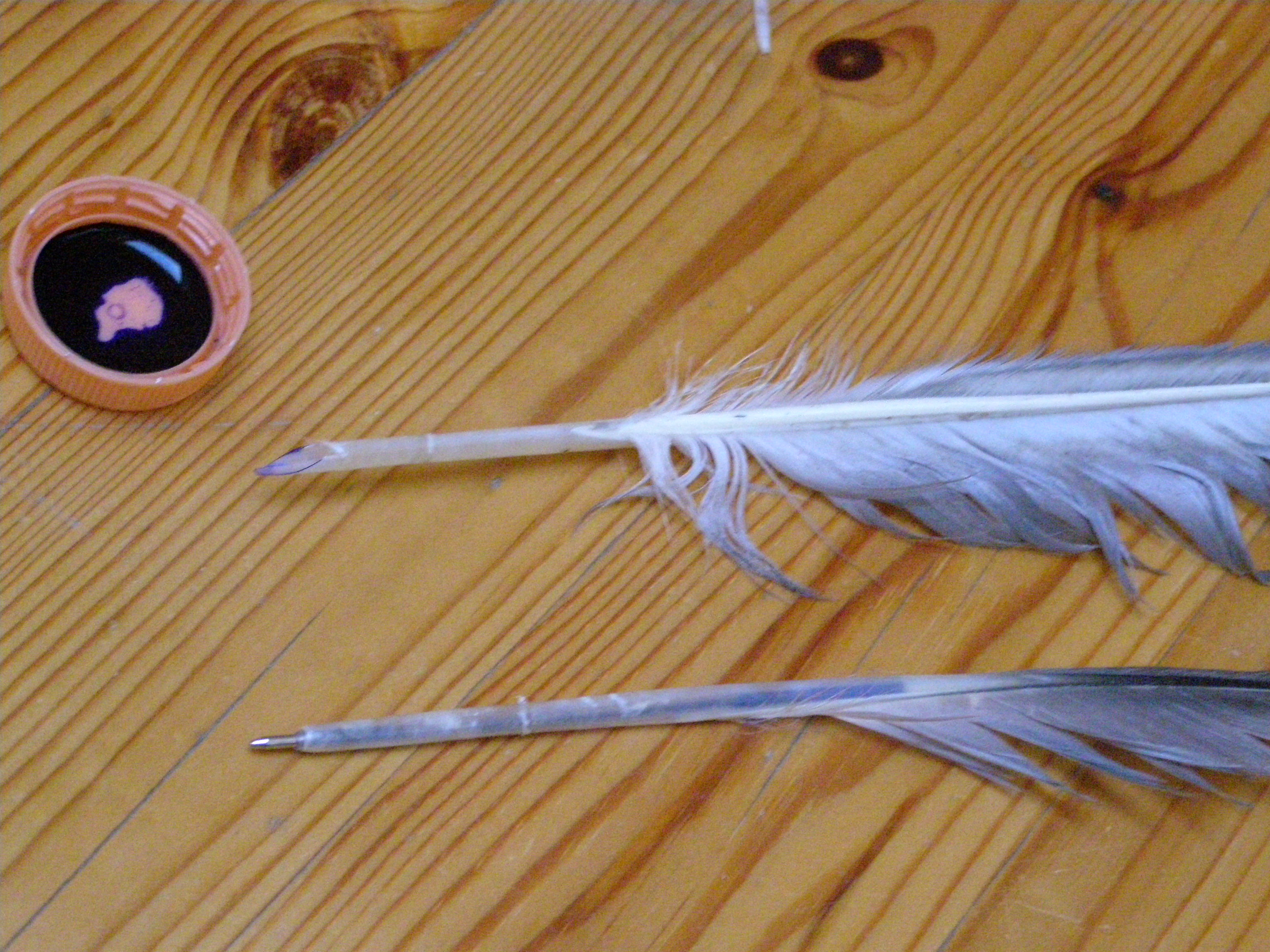 How to Make a Feather Quill (2 Ways)