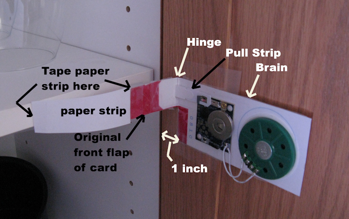 Cupboard Door Greeting