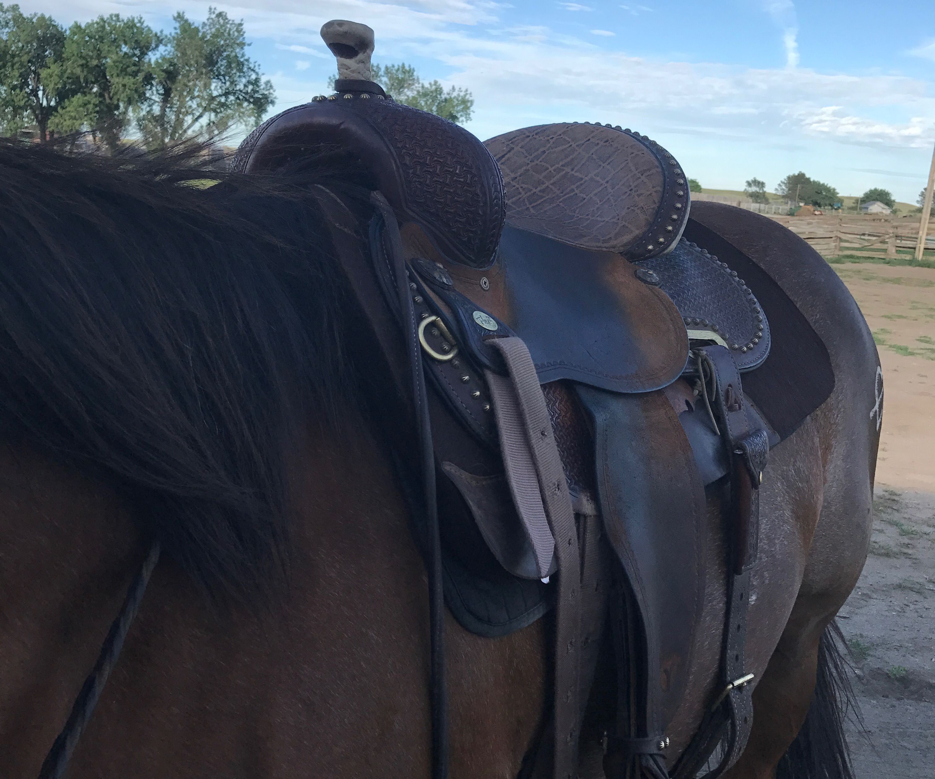 How to Saddle a Horse 
