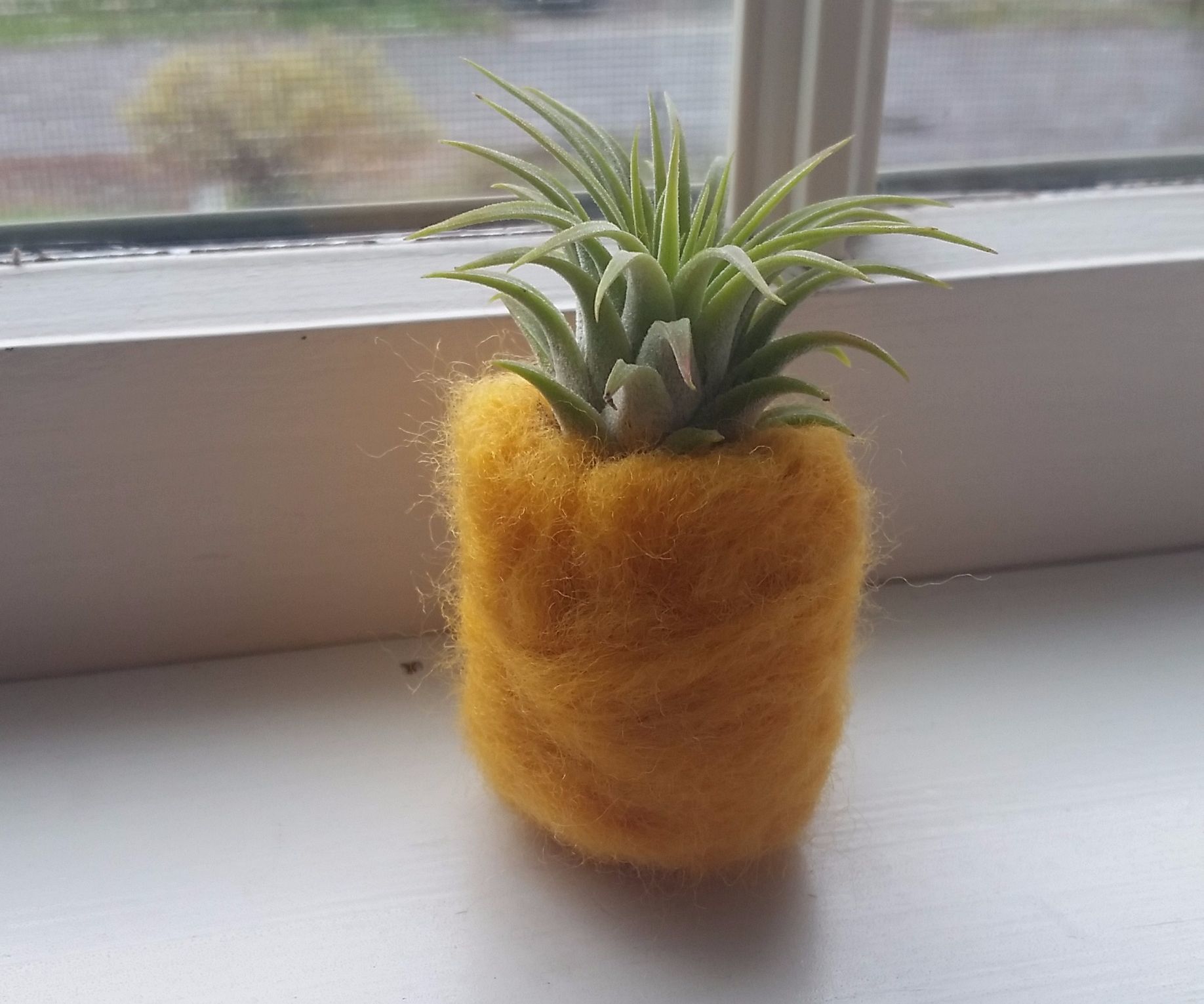 Felted Pineapple Air Plant Holder