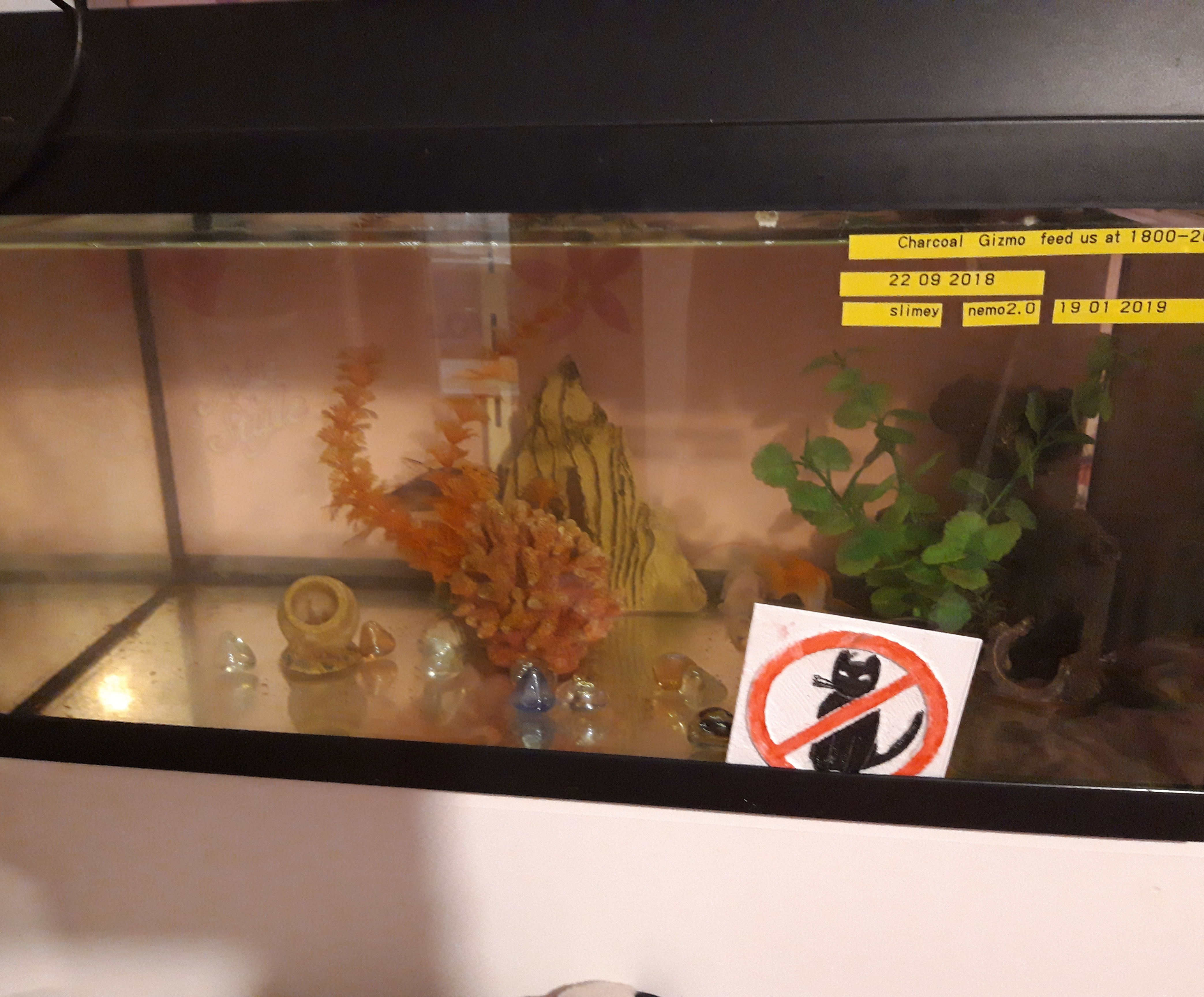 Fish Tank Light