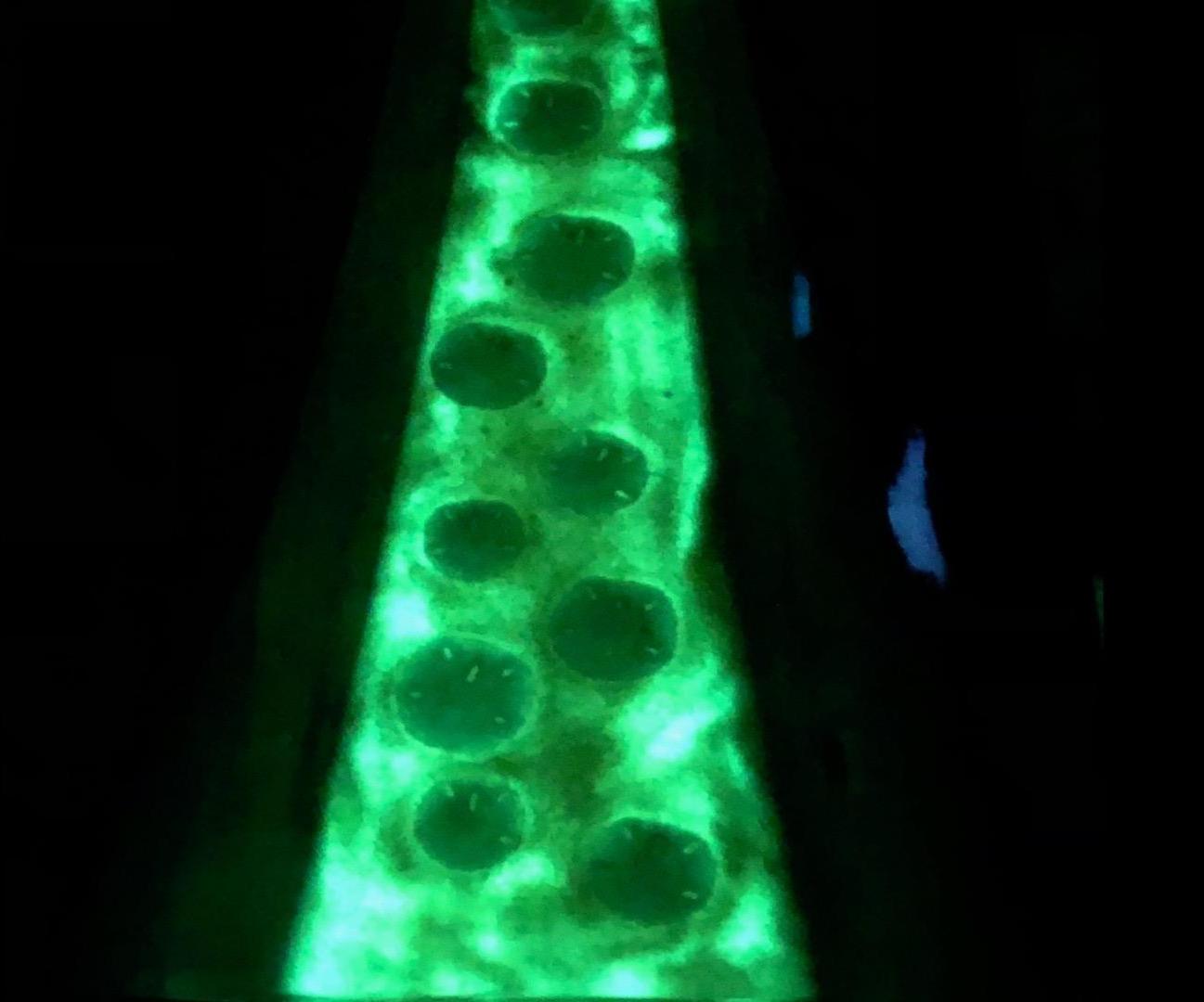 DIY Epoxy Beach Glow Table