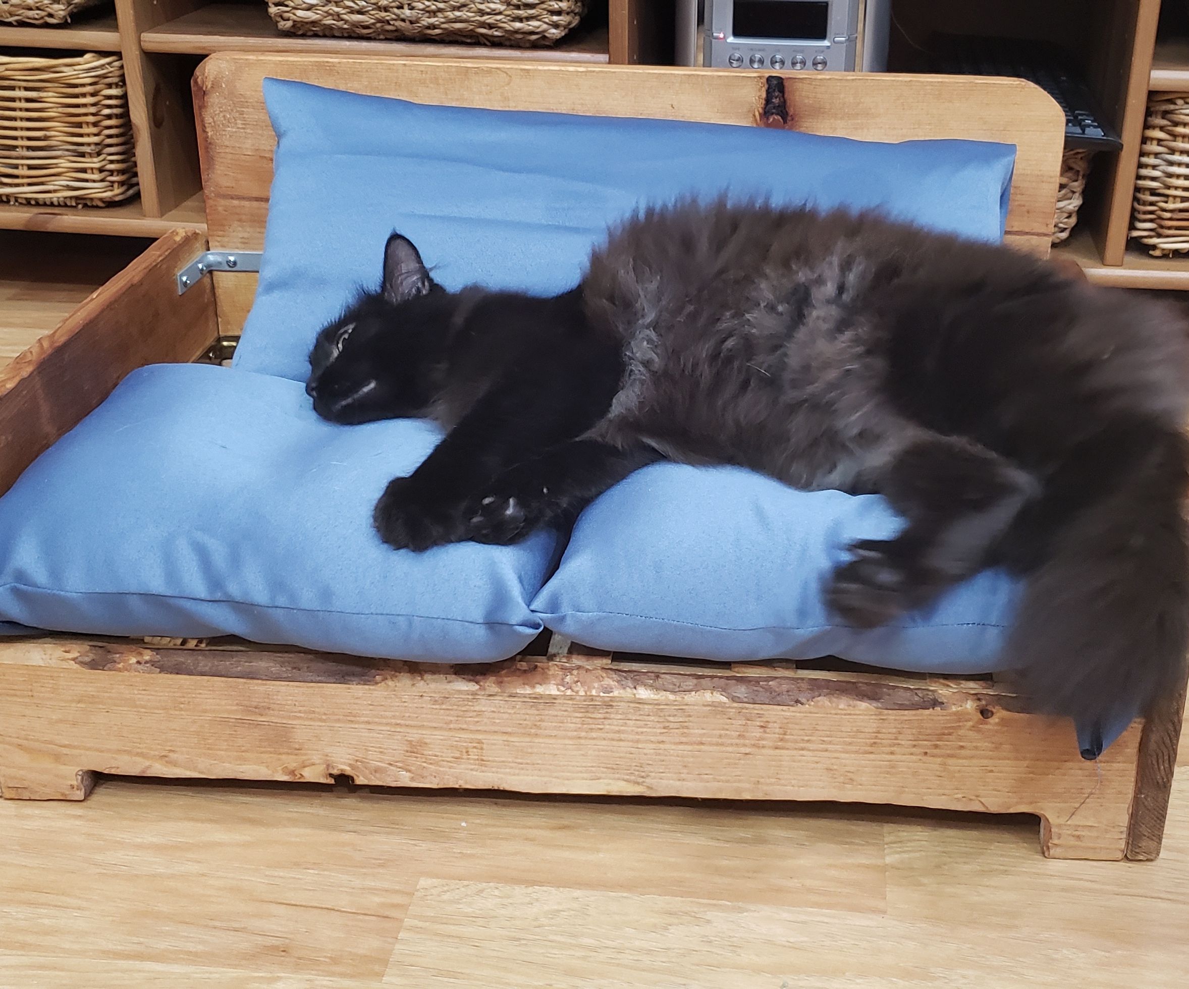Pet Furniture From Scraps