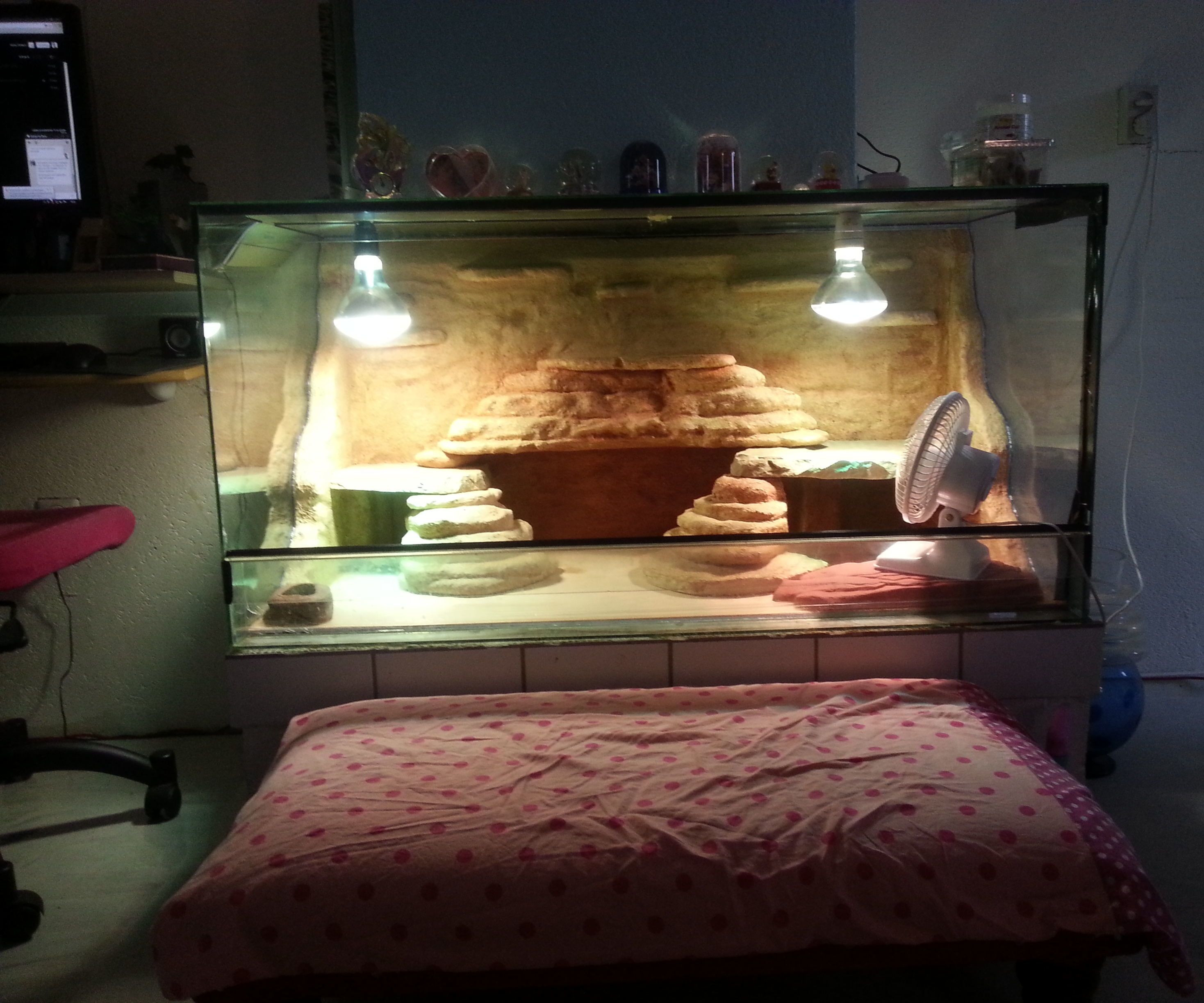 Terrarium Backwall