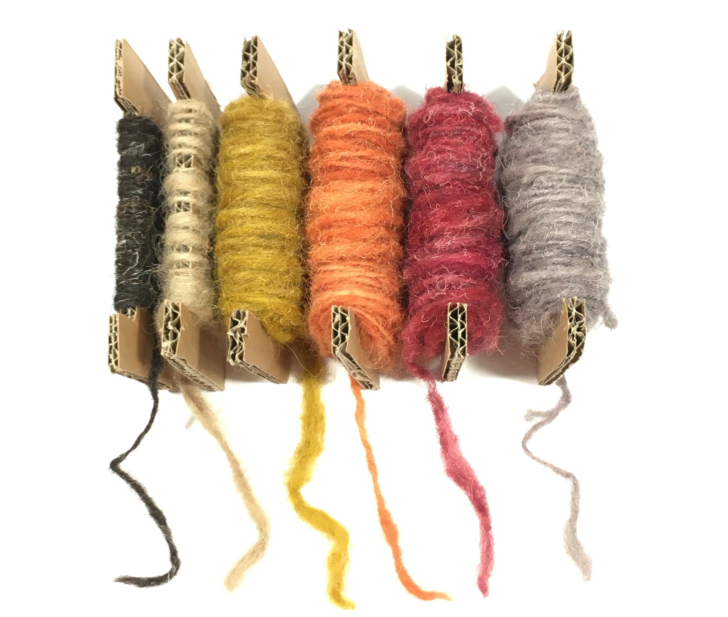 DIY Wool: Forage, Spin and Dye Your Own Yarns