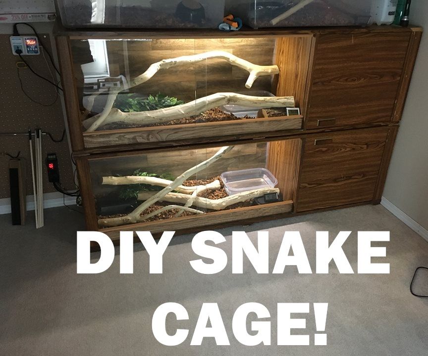 DIY Snake Cage 