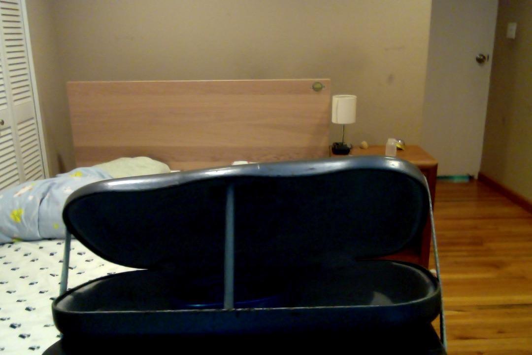 Lethal Mousetrap