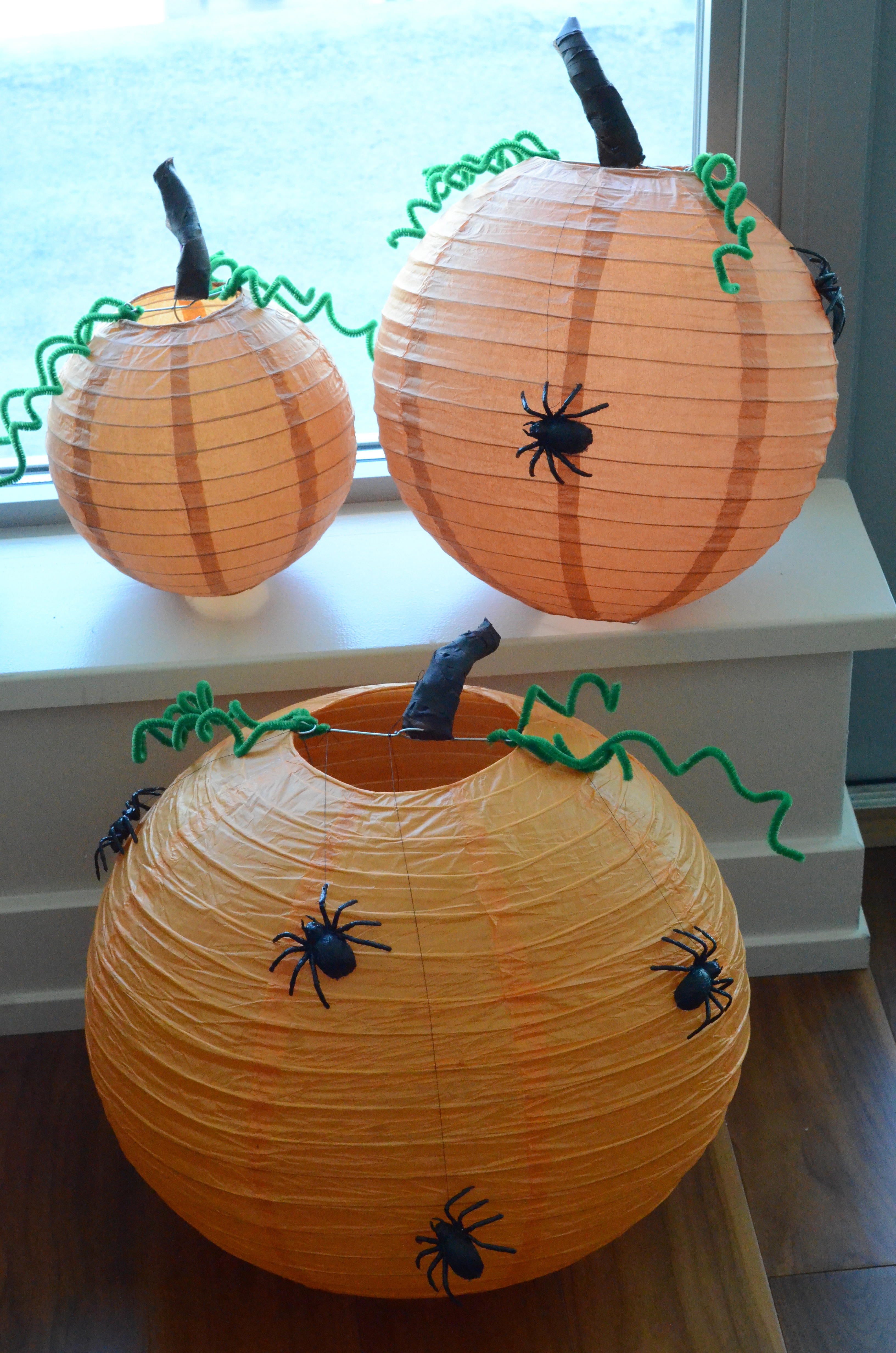 Chinese Lantern Pumpkins