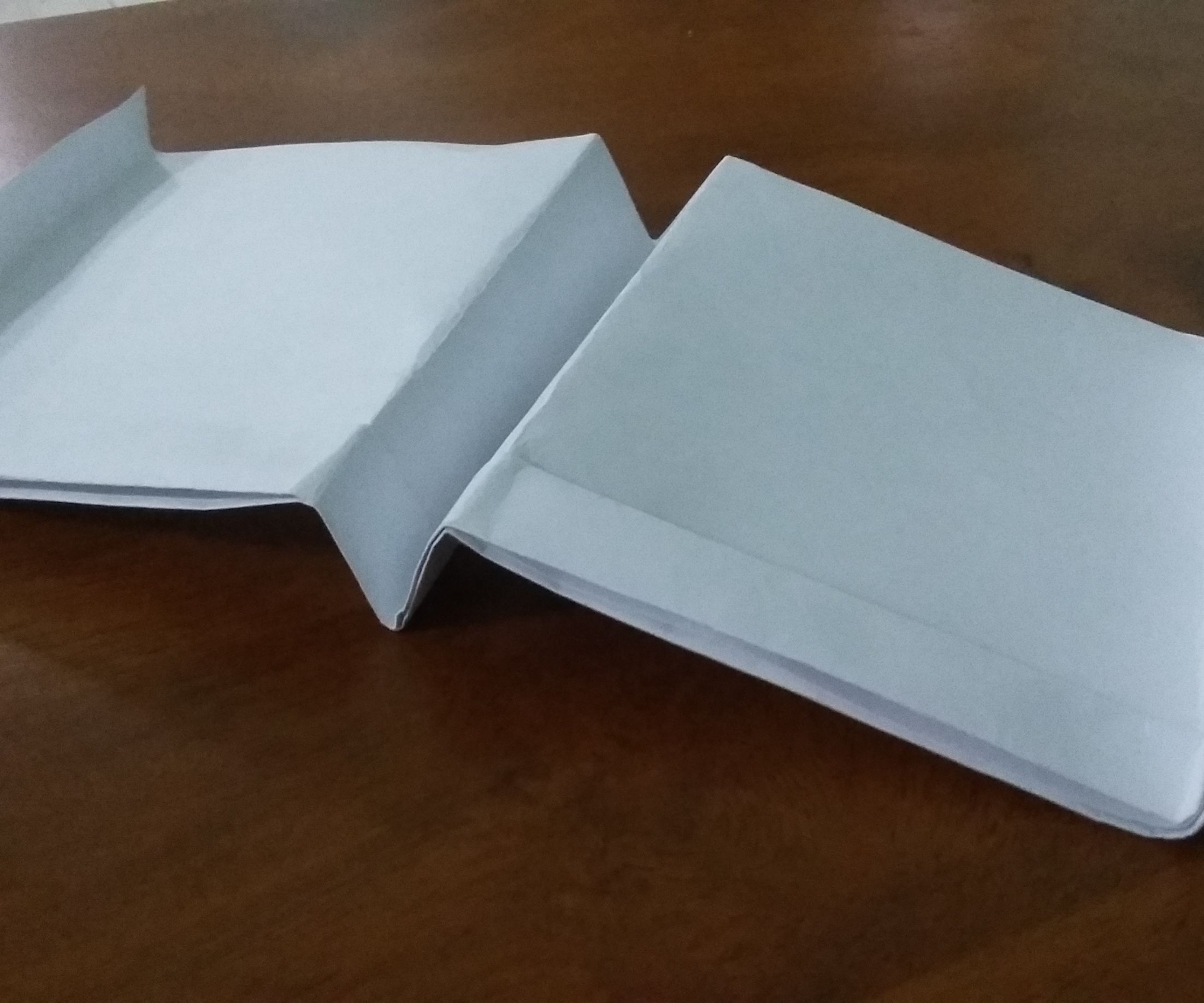Easy Paper Glider